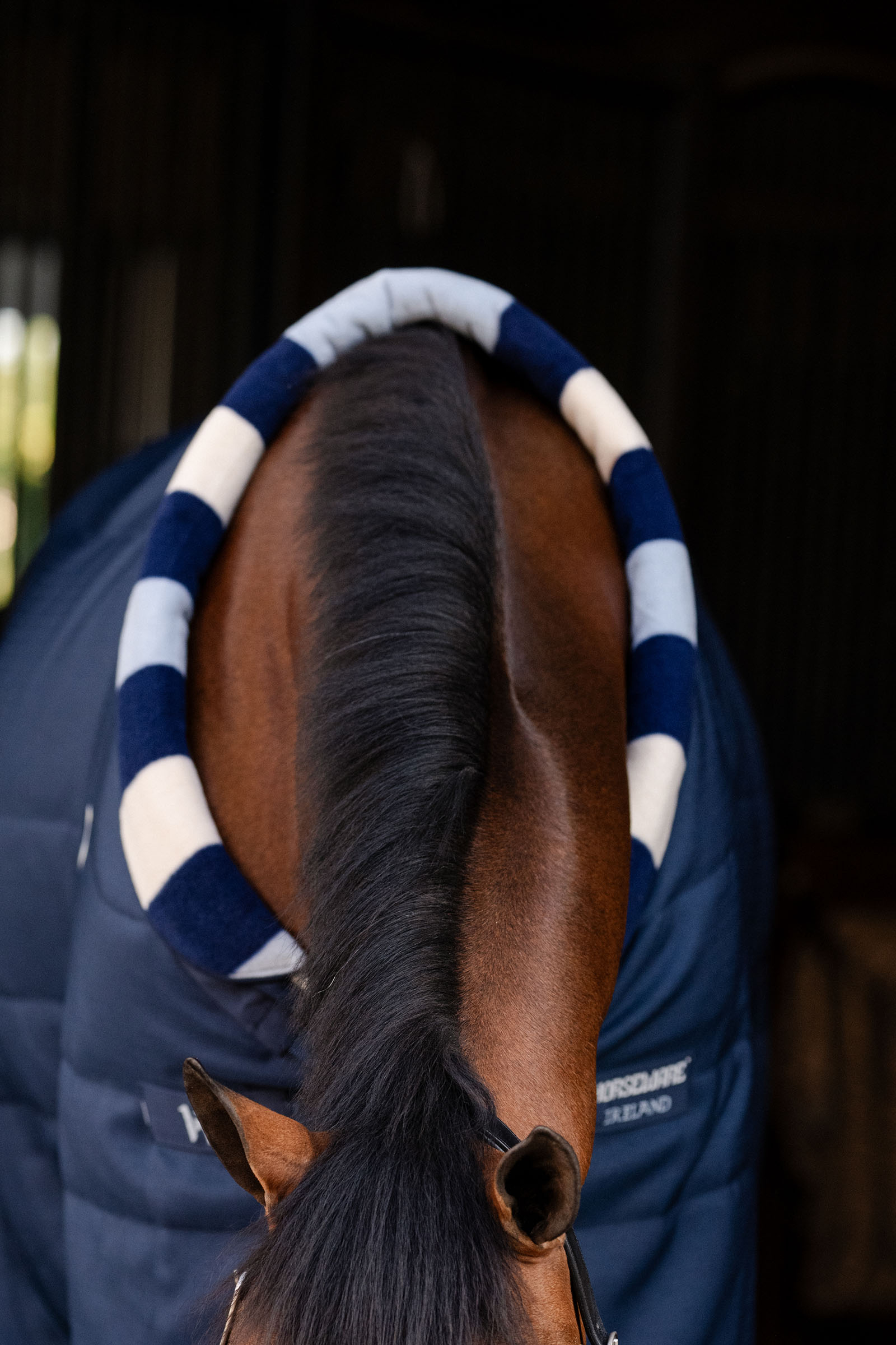 Horseware Newmarket Cosy Talliloimi 100g