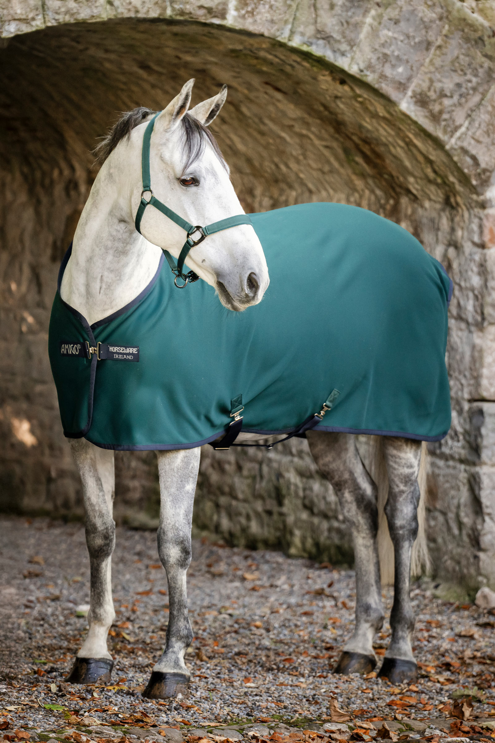 Horseware Amigo Jersey cooler-loimi