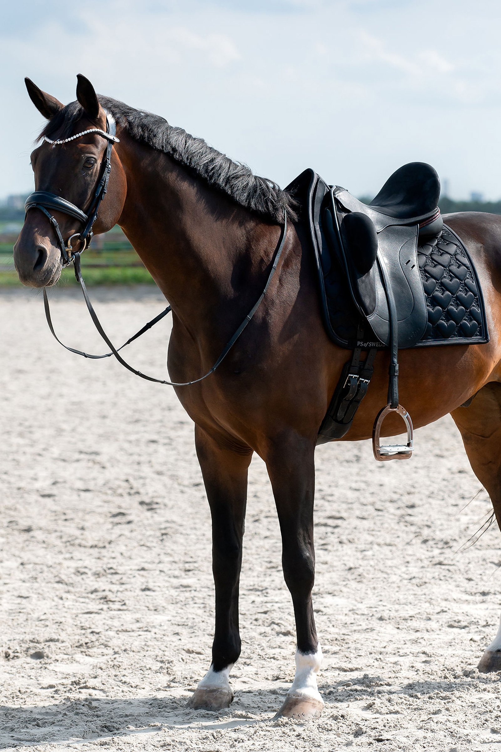 PS of Sweden Sydän Estealusta