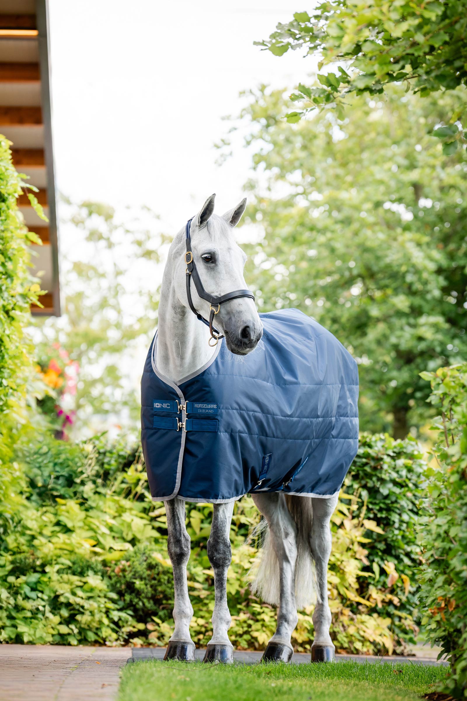 Horseware Ionic Therapy Talliloimi, 50g