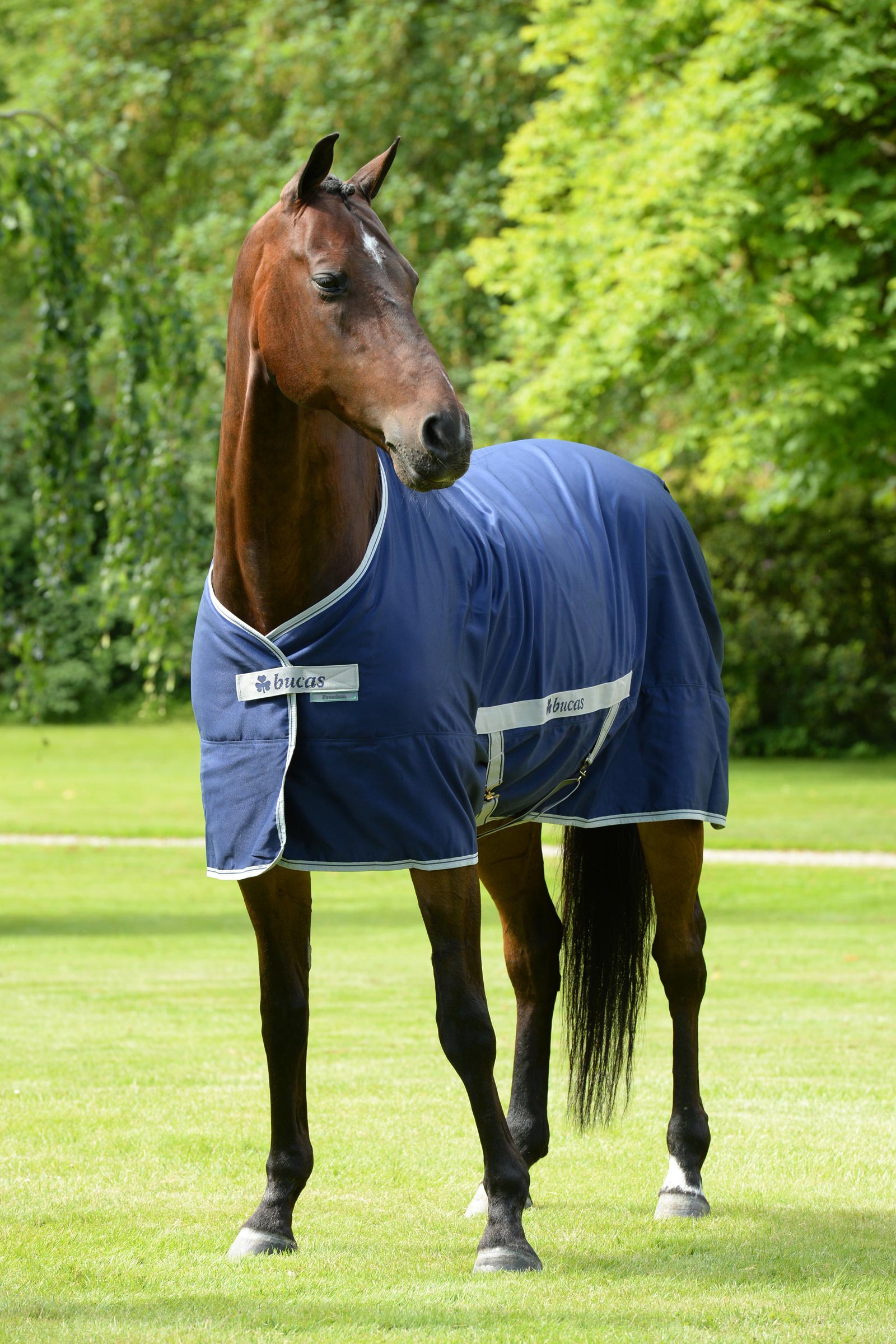 Bucas Freedom Twill Talliloimi, 0 g