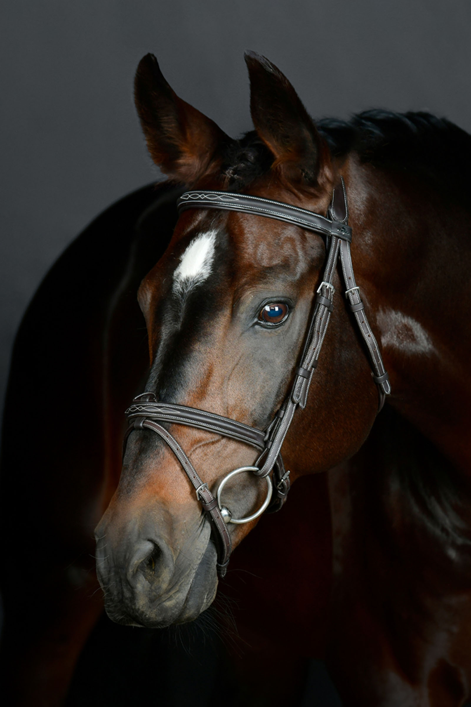 Collegiate Comfitec Opulux Fancy Stitch pehmustettu hannoverilainen suitsi