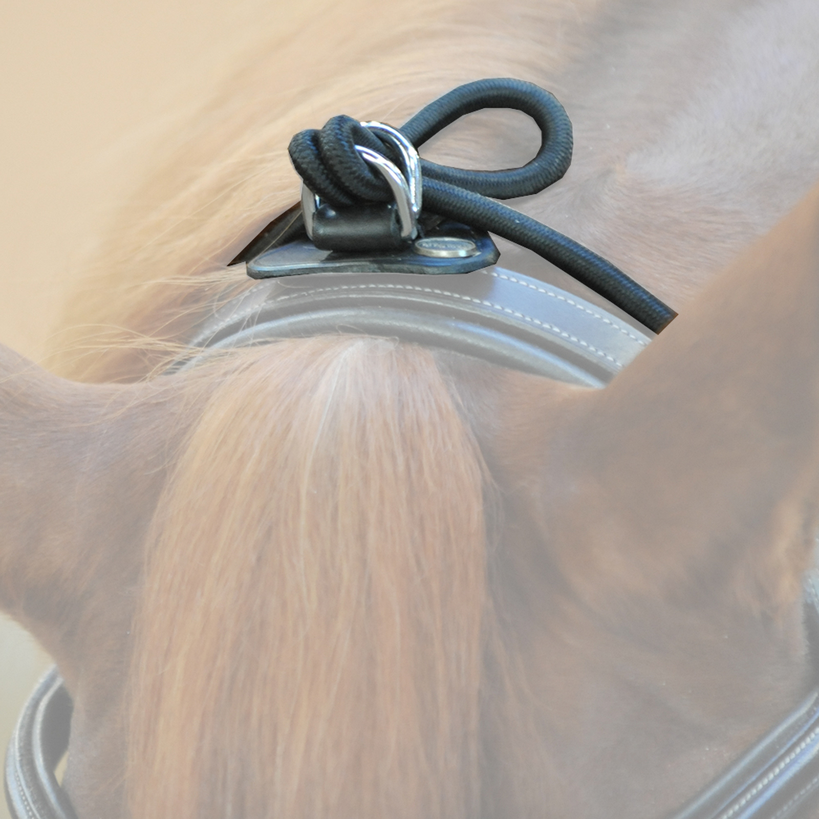 Kavalkade joustochambon