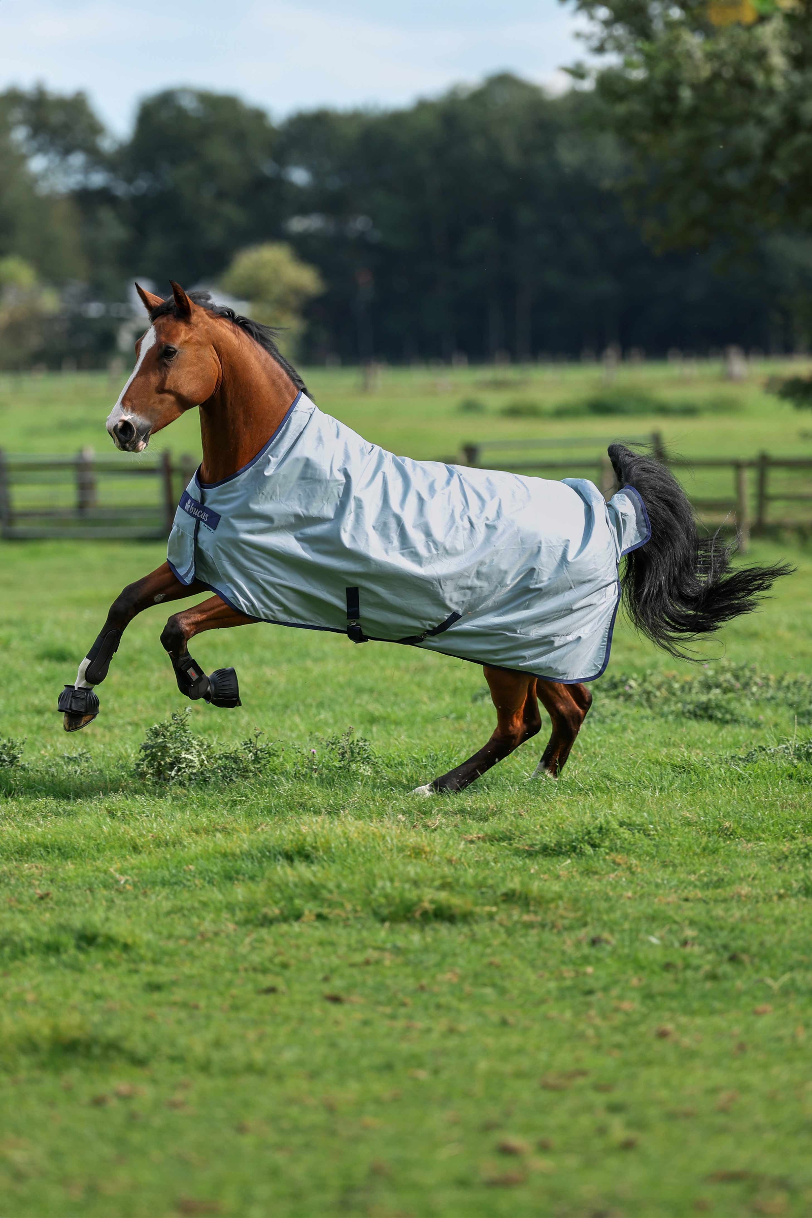 Bucas Power Light ulkoloimi korkealla kauluksella, 0 g