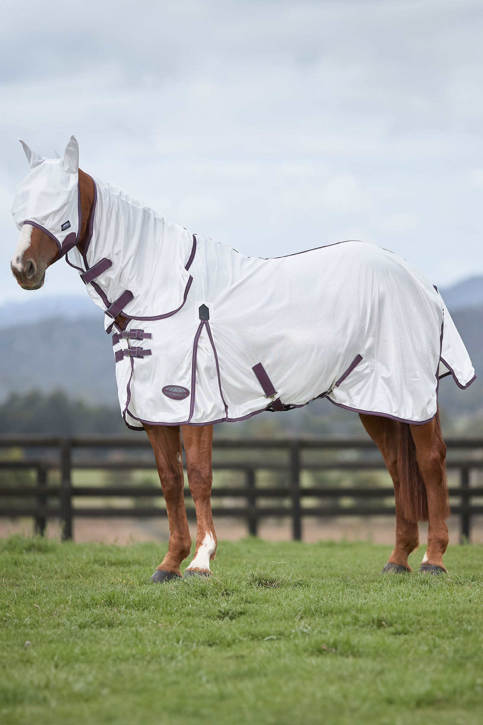 Weatherbeeta Comfitec Essential Mesh maski