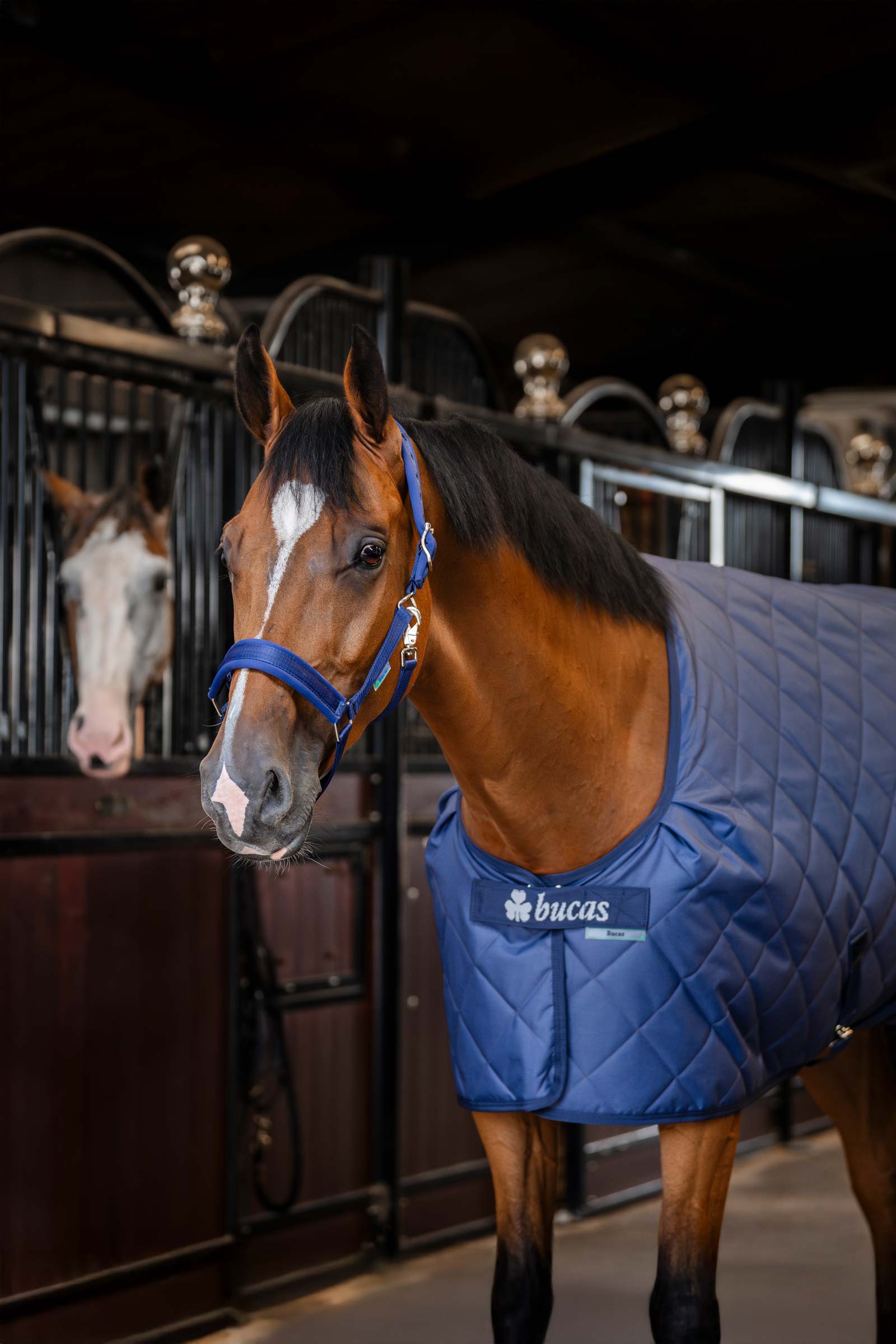 Bucas Cosy Vakaa matto