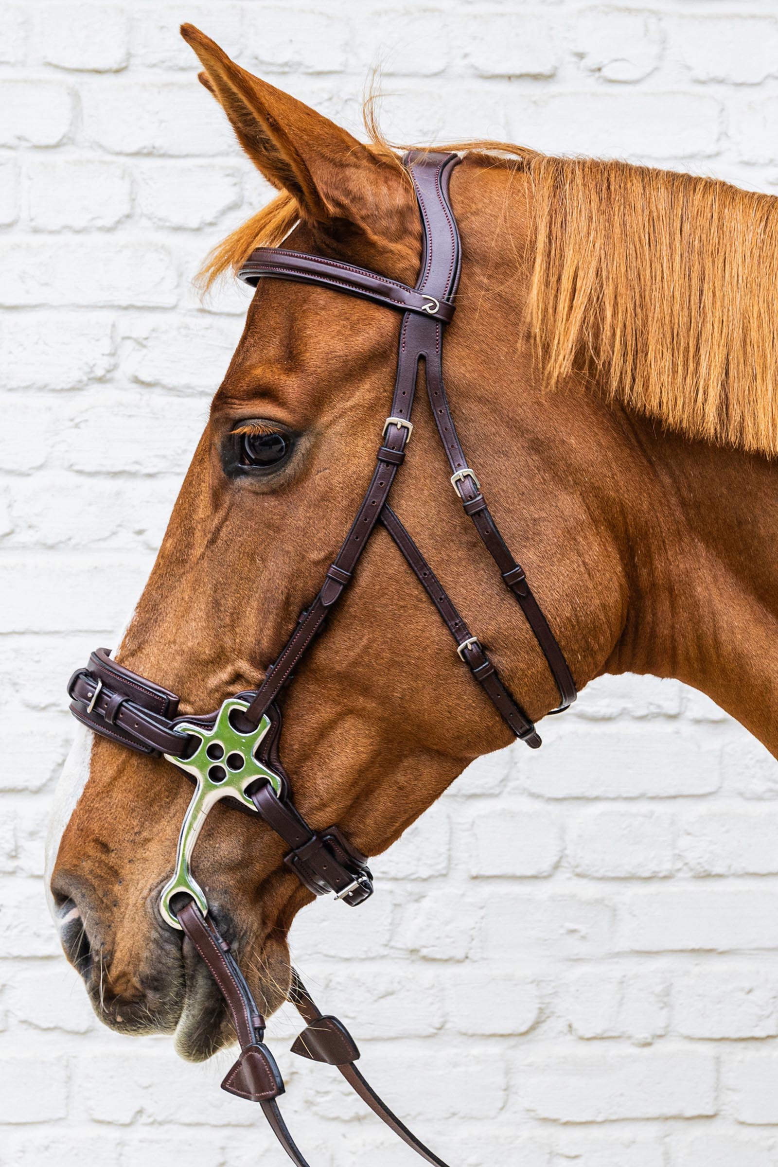 Dy'on New English Collection hackamore suitset  