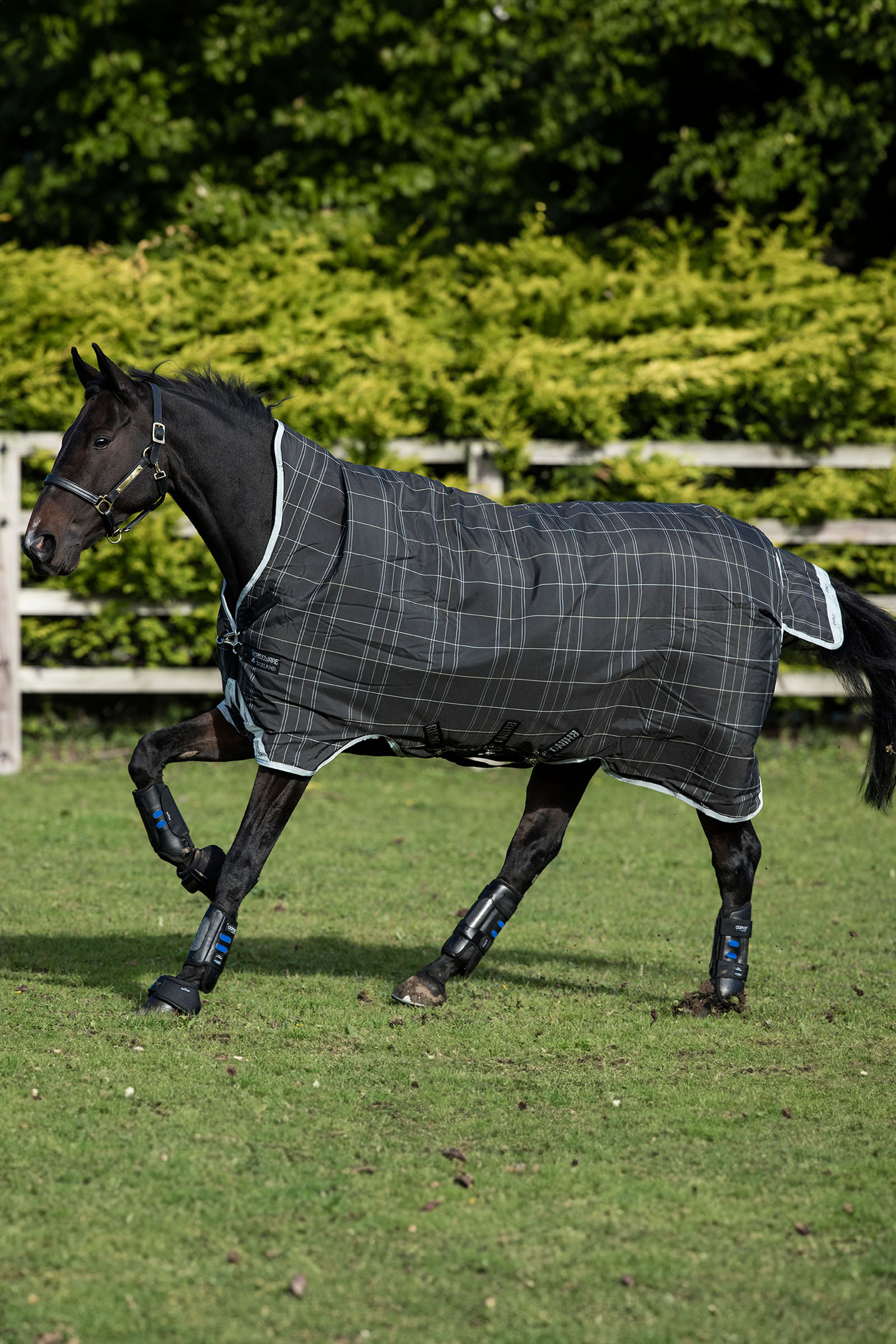 Black/Grey/White Check & Gray Horseware Rhino Wug ulkoloimi, 100 g