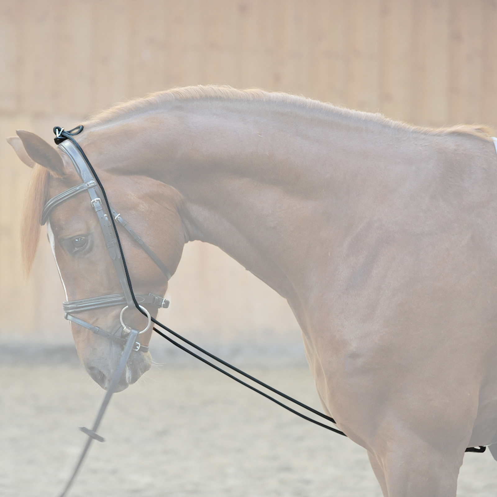 Kavalkade joustochambon