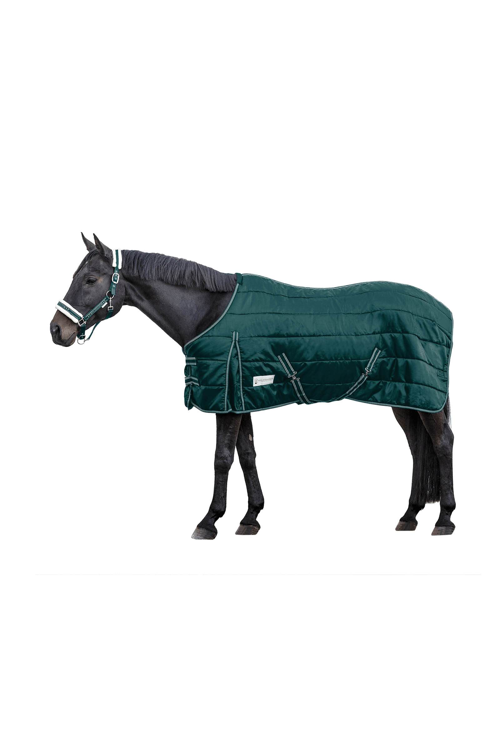 Waldhausen Stable rug Economic 200 g