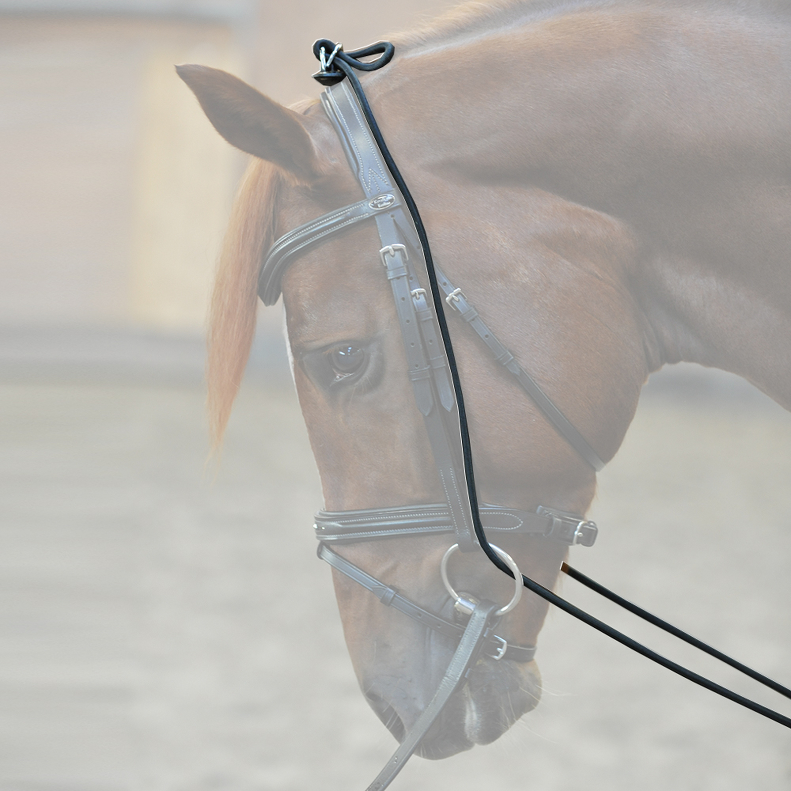 Kavalkade joustochambon