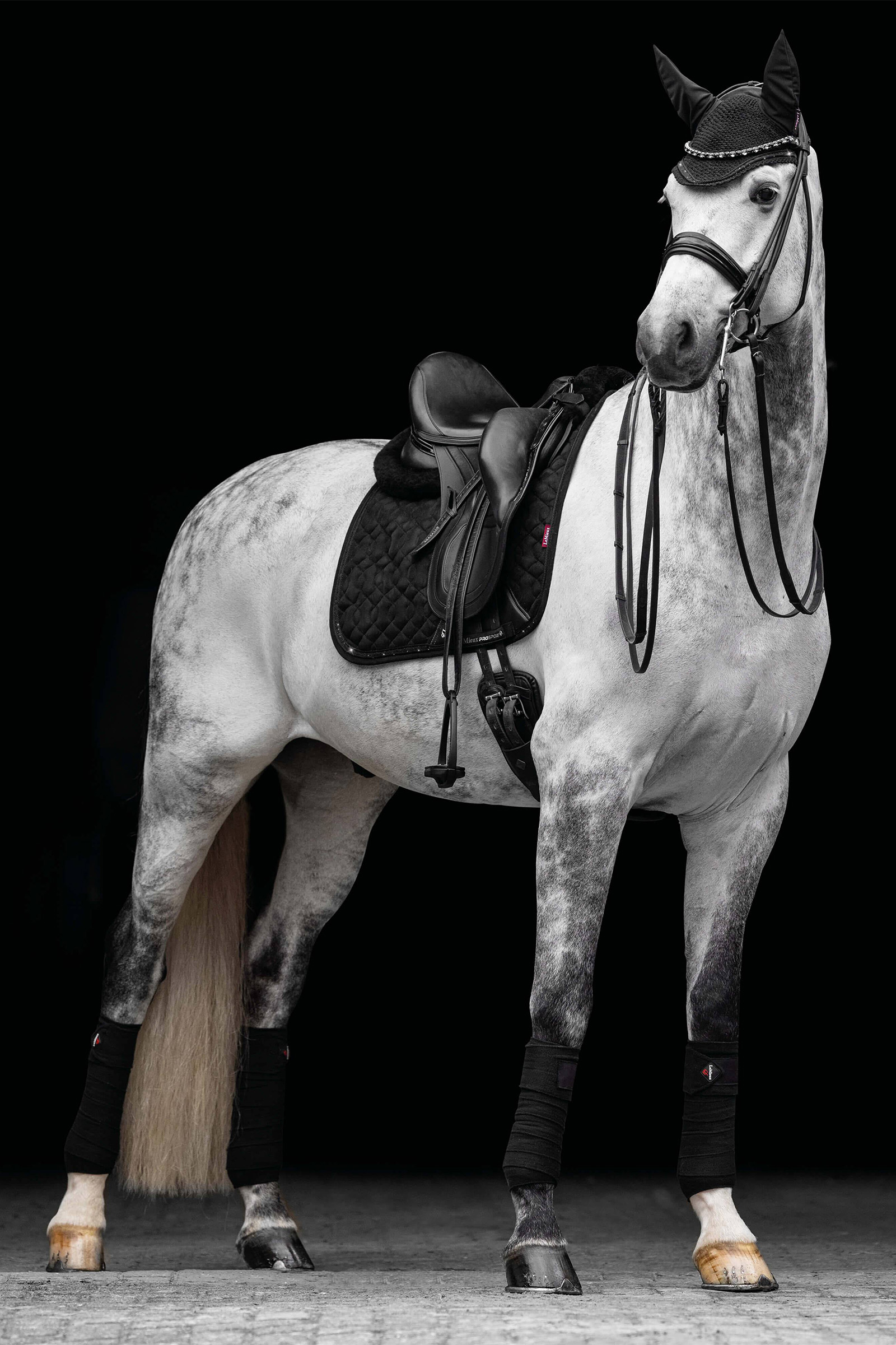 LeMieux Crystal Suede koulusatulahuopa