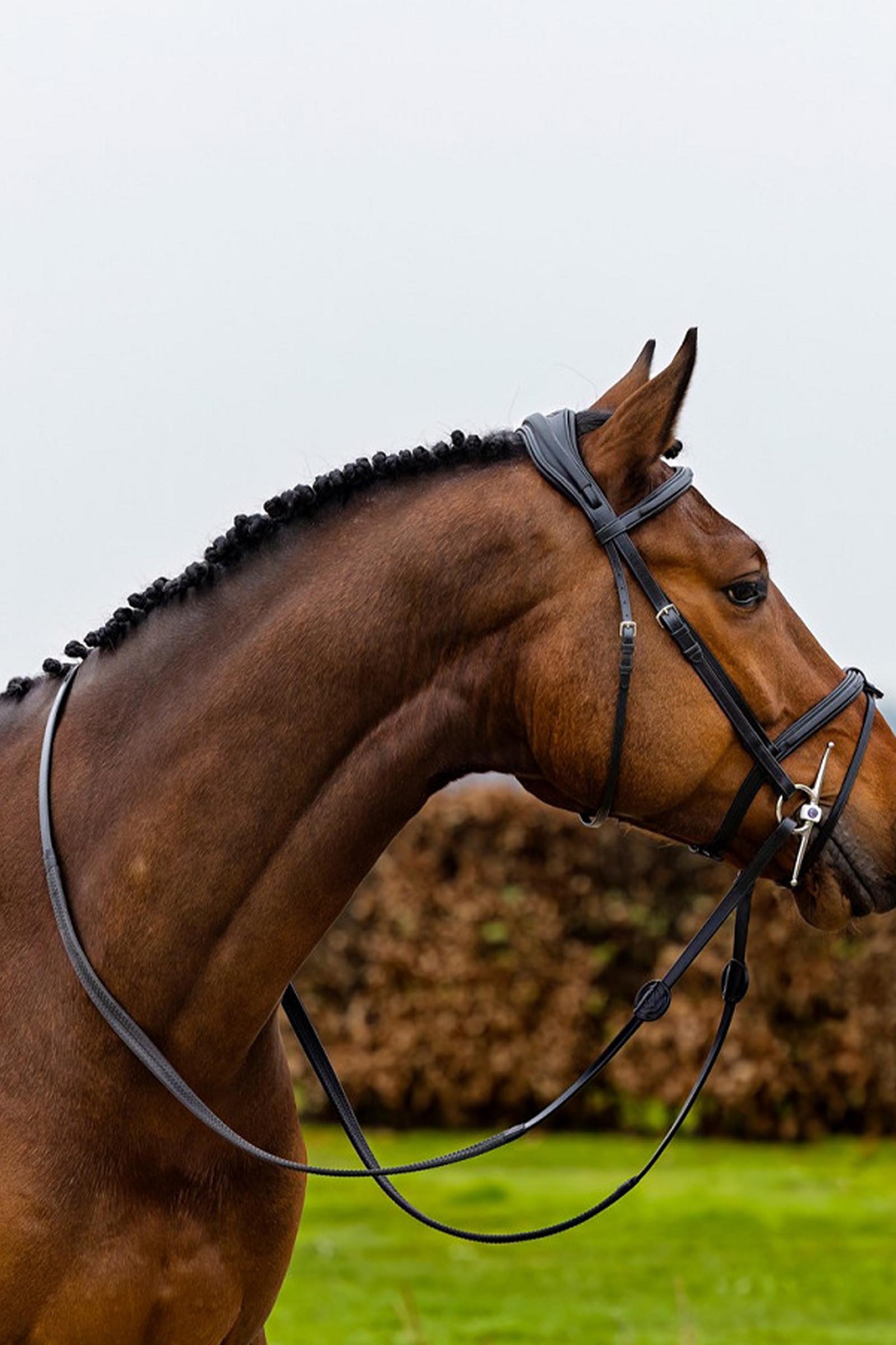Trust Equestrian Geneva yhdistetty nen&auml;nauha suitsi