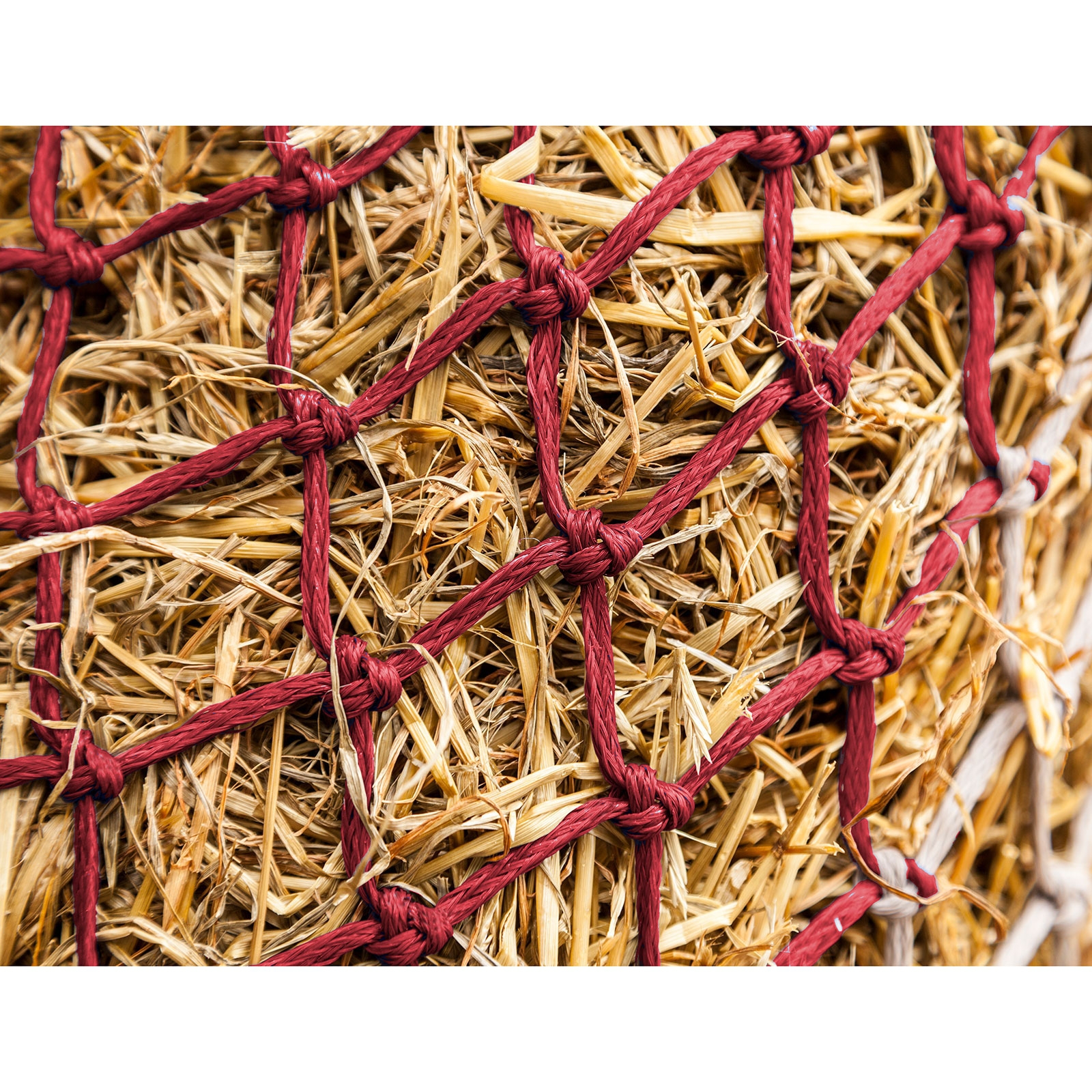 Dark Red/Off-white LeMieux Hippo heinäverkko