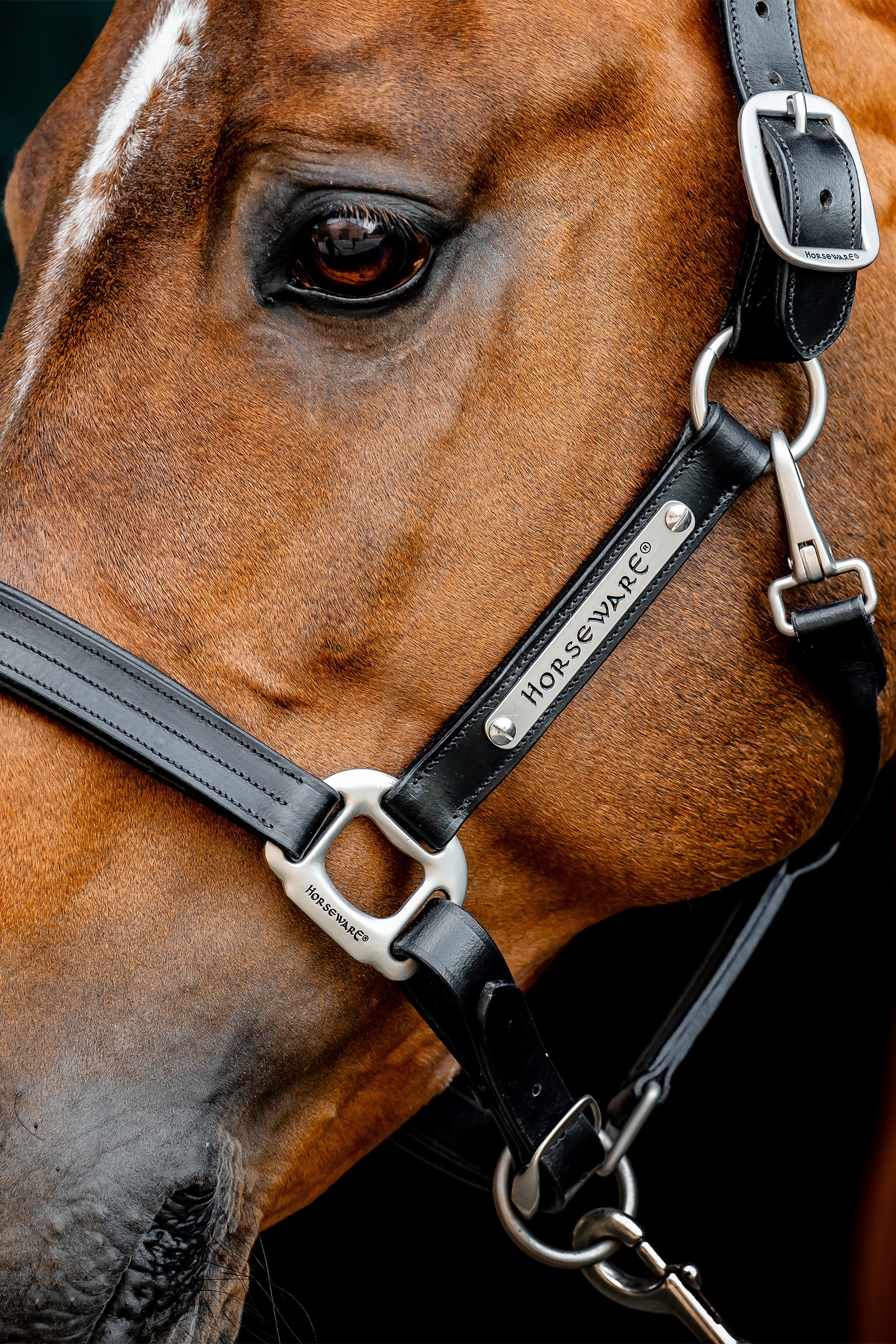 Horseware Signature nahkainen halter