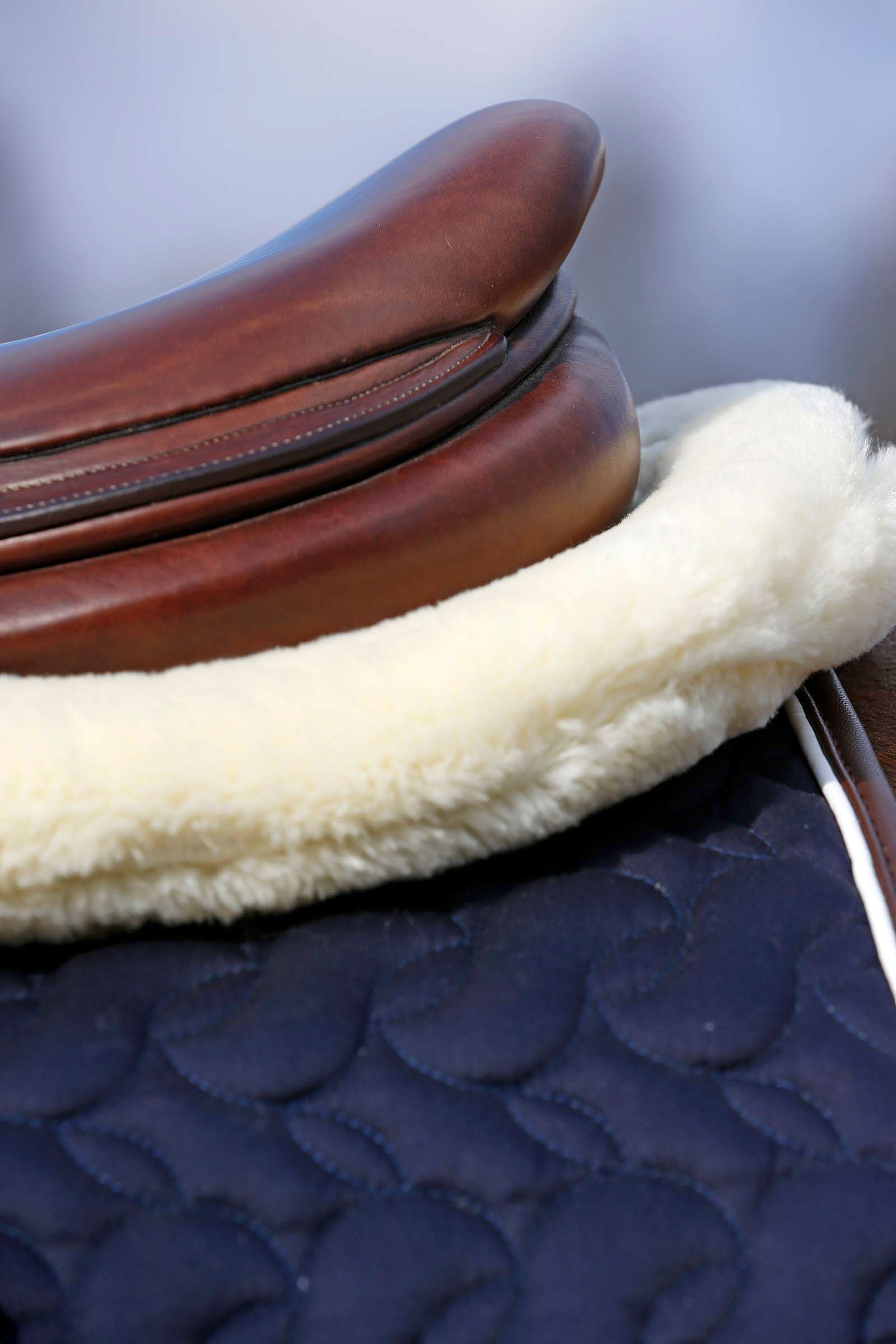 Kentucky Horsewear Absorb lampaankarvainen romaani