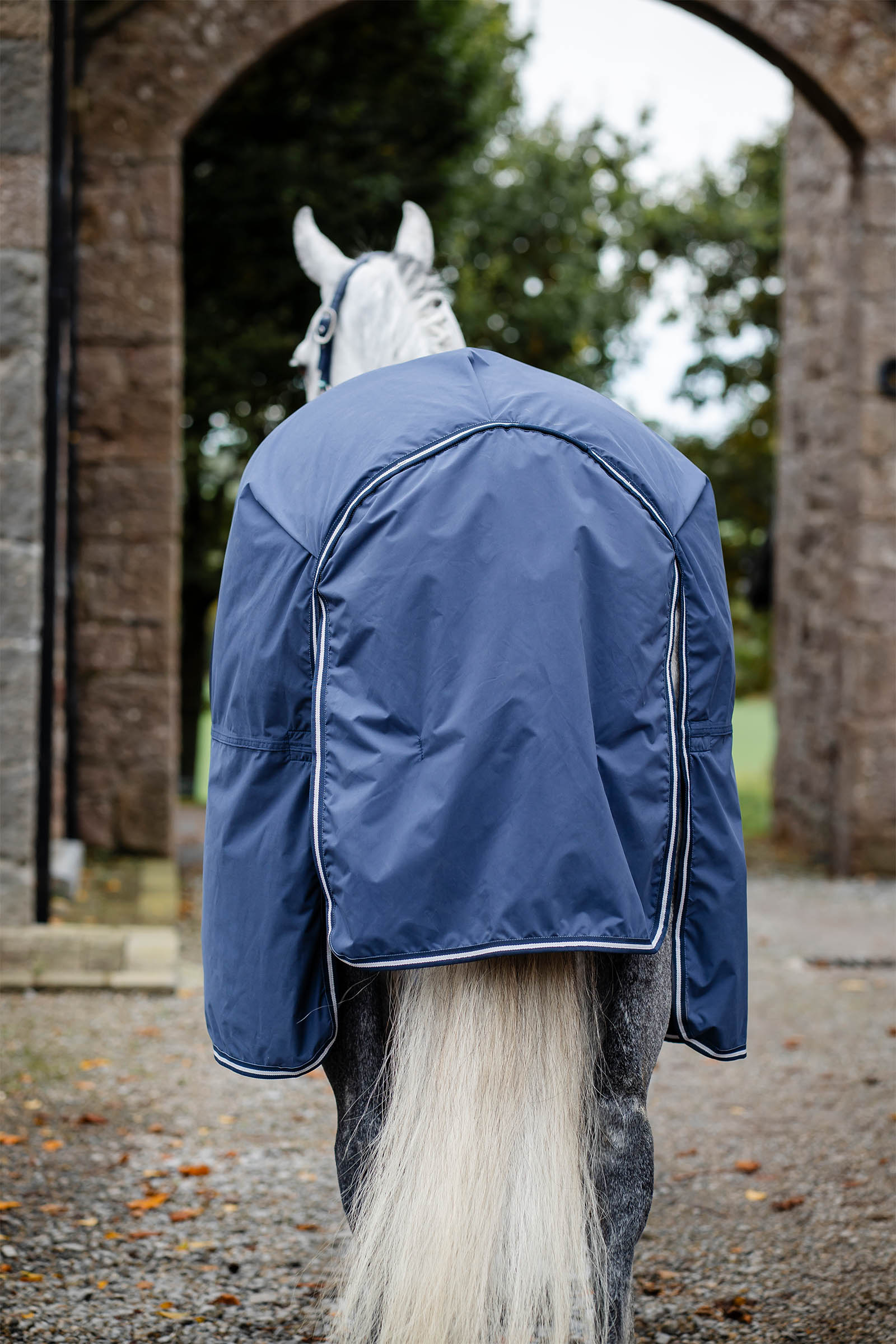 Horseware Show Ready loimi