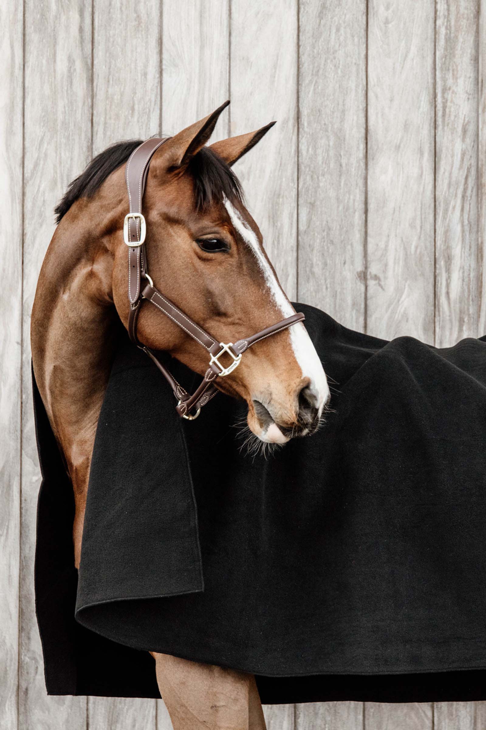 Kentucky Horsewear Heavy fleeceloimi