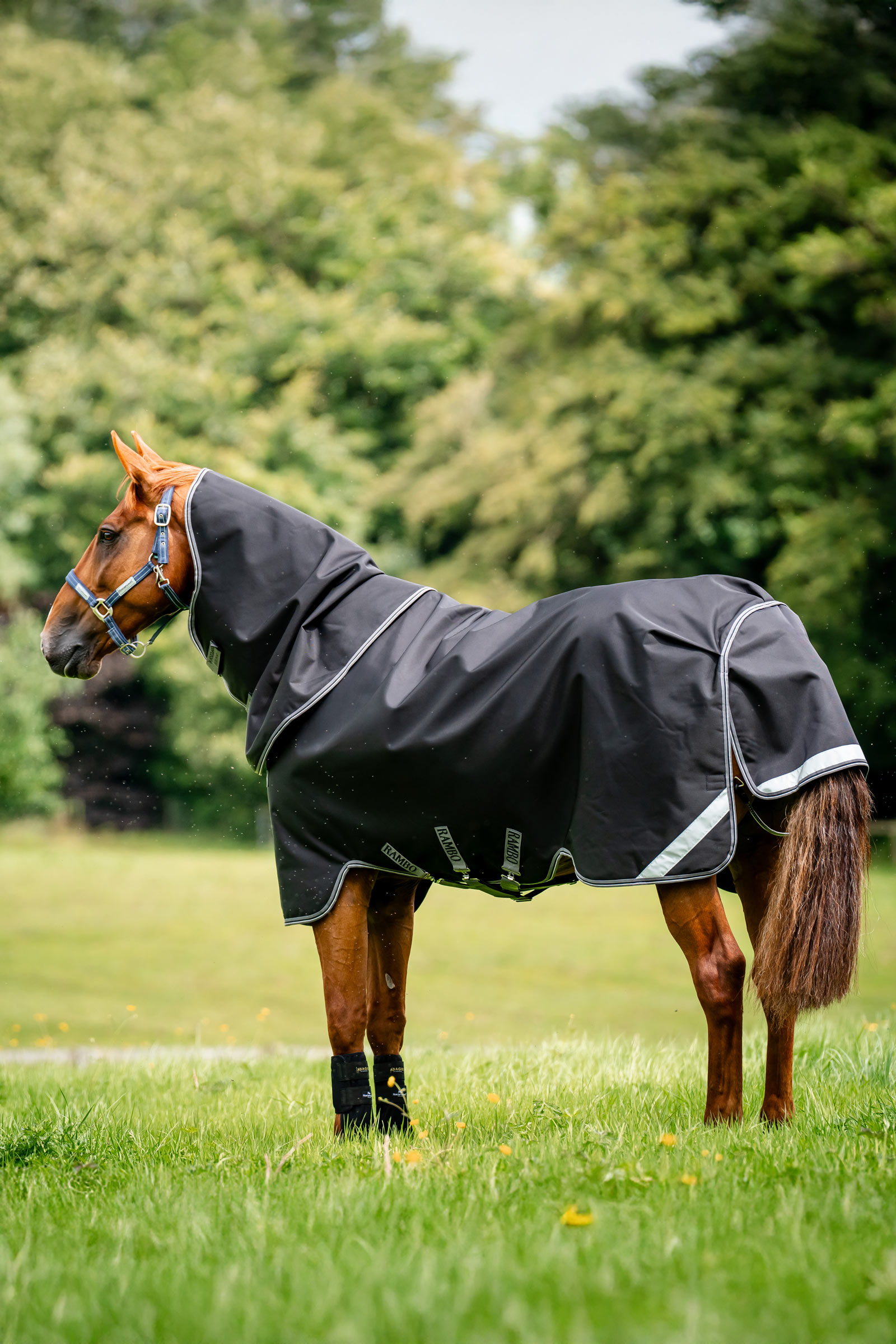 Horseware Rambo 1680D Plus ulkoloimi, 100 g