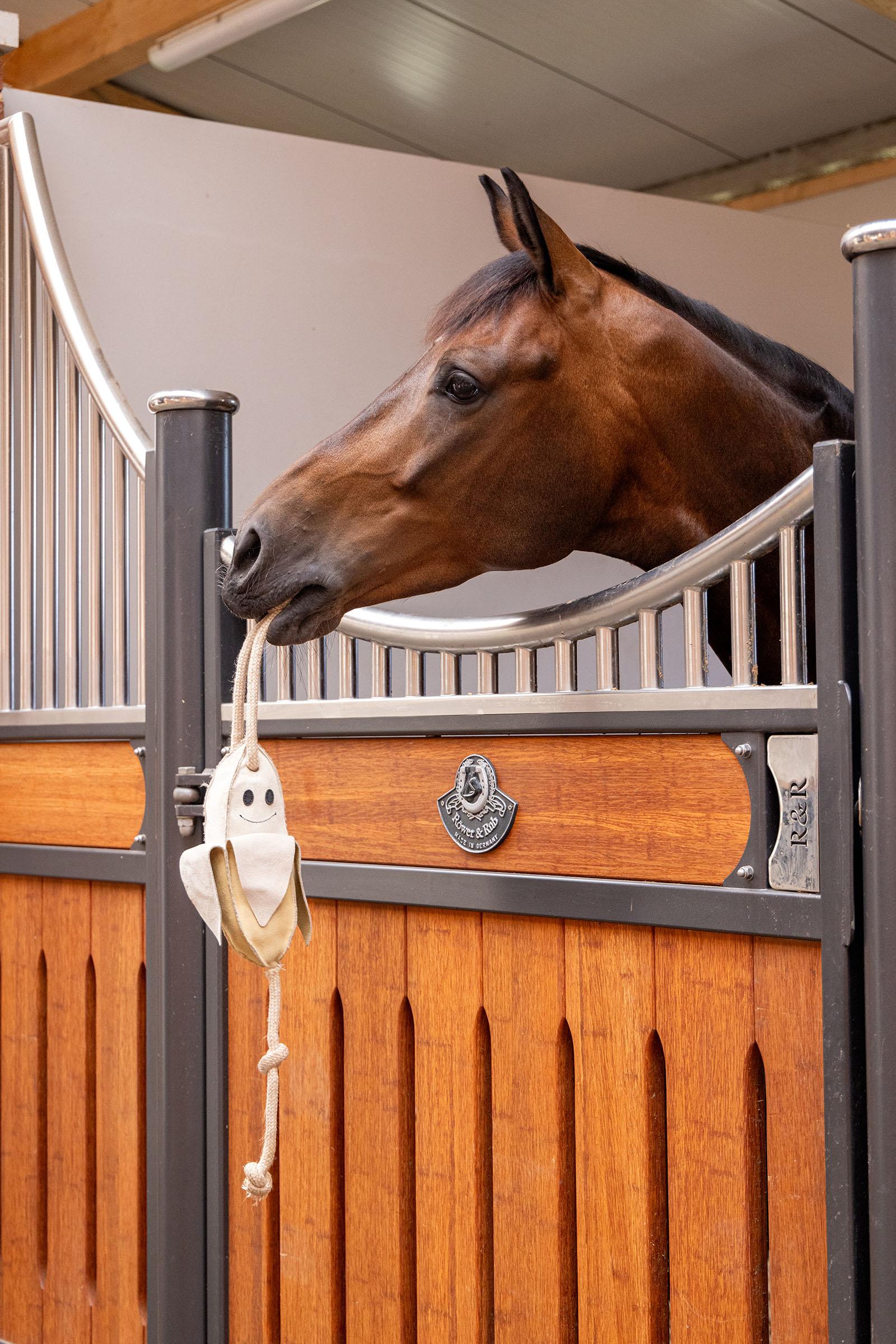 LeMieux hevosen lelu