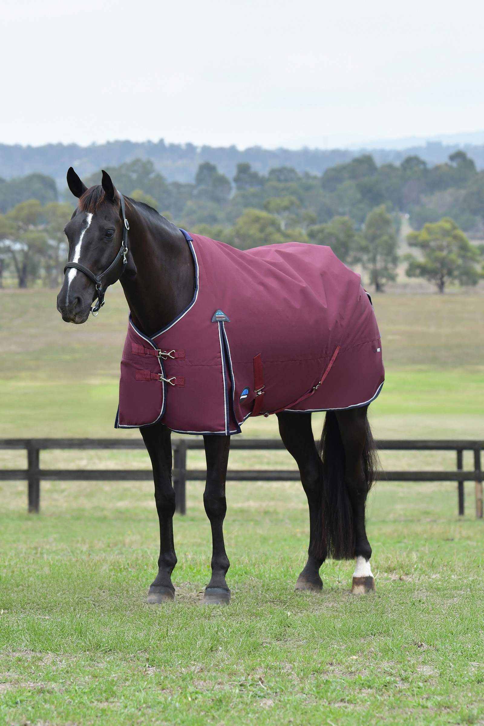 Weatherbeeta ComFiTec Essential -ulkotakki, vakiokaulus 50 g