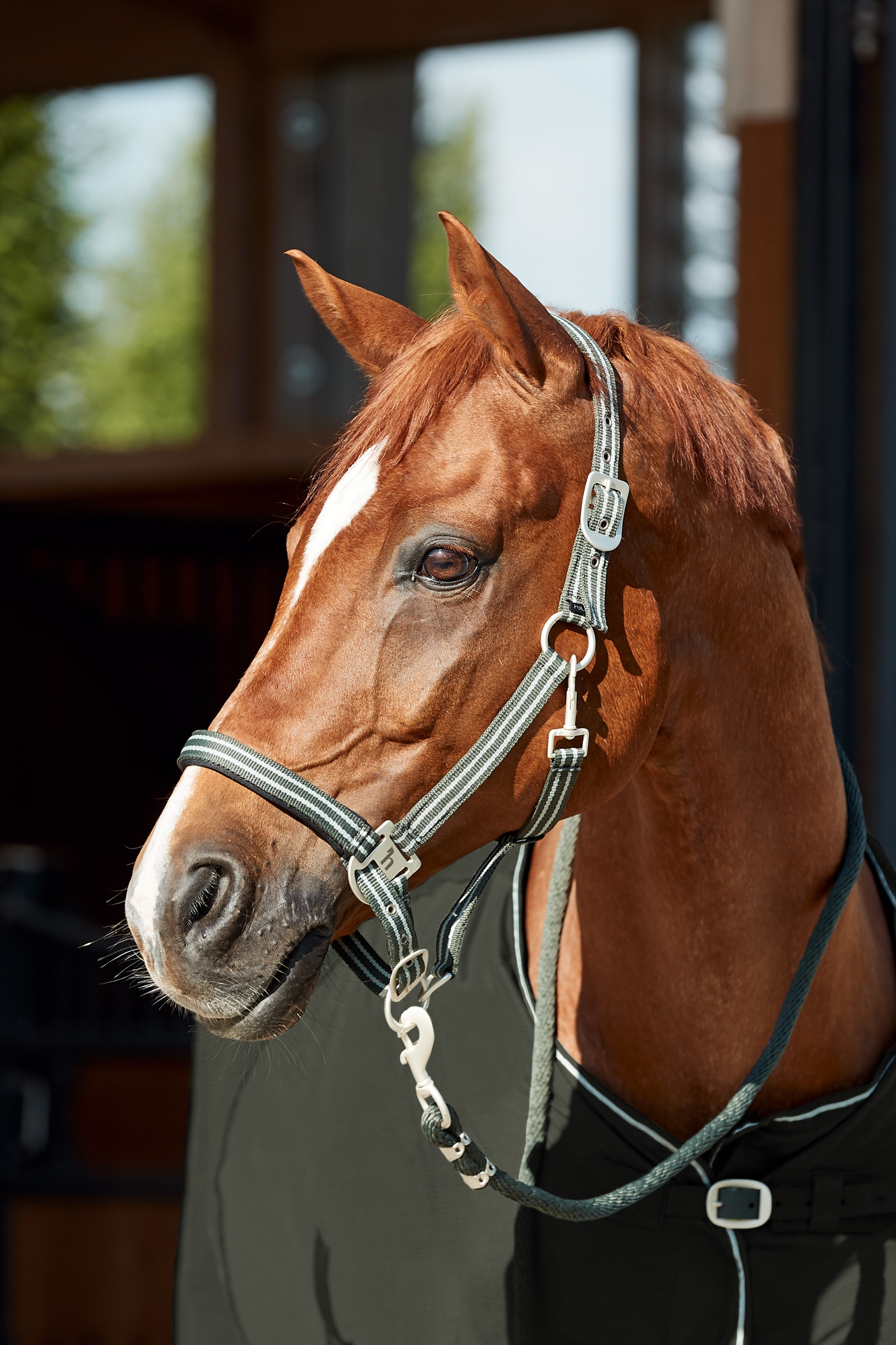 Horze Bari riimu ja riimunnaru