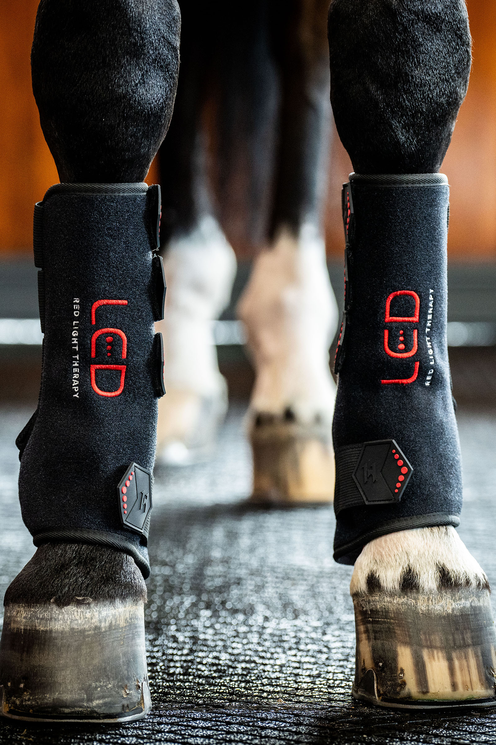 Horseware LED punavalohoitoinen hevosbootsi (1 kpl)