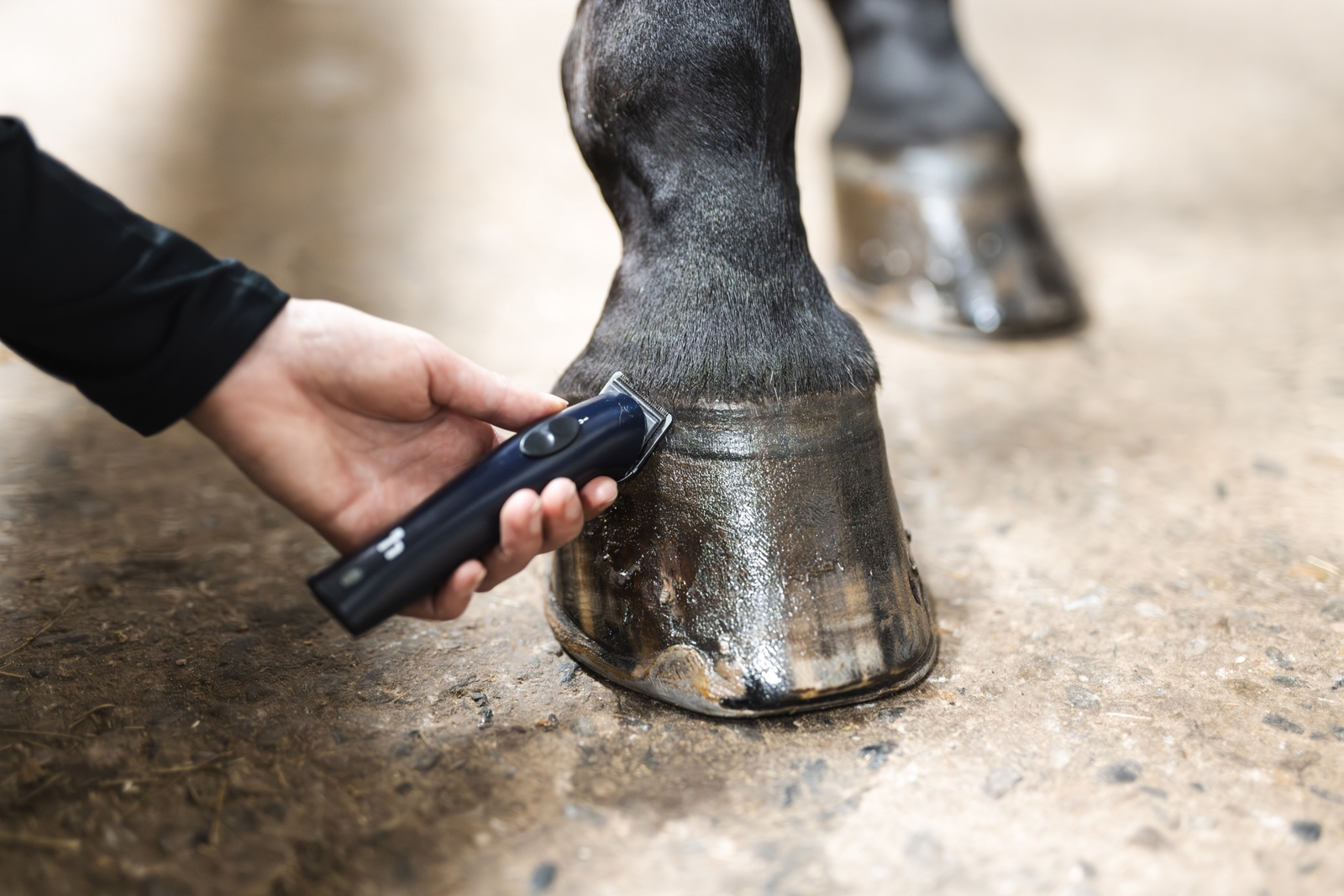 Horze trimmeri, erittäin kevyt