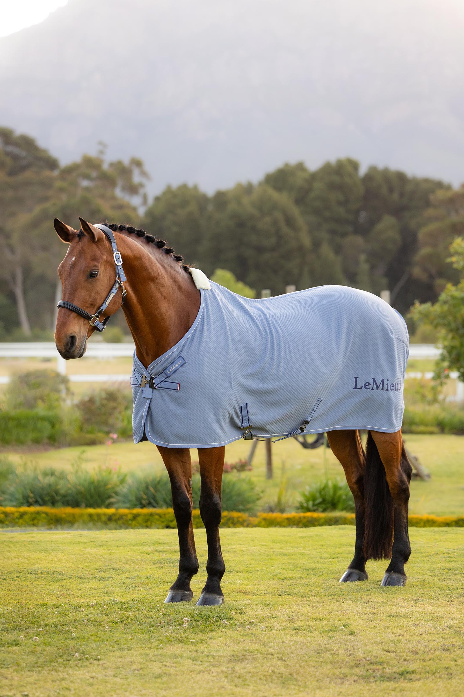 Powder Blue LeMieux Kudos bambu cooler loimi