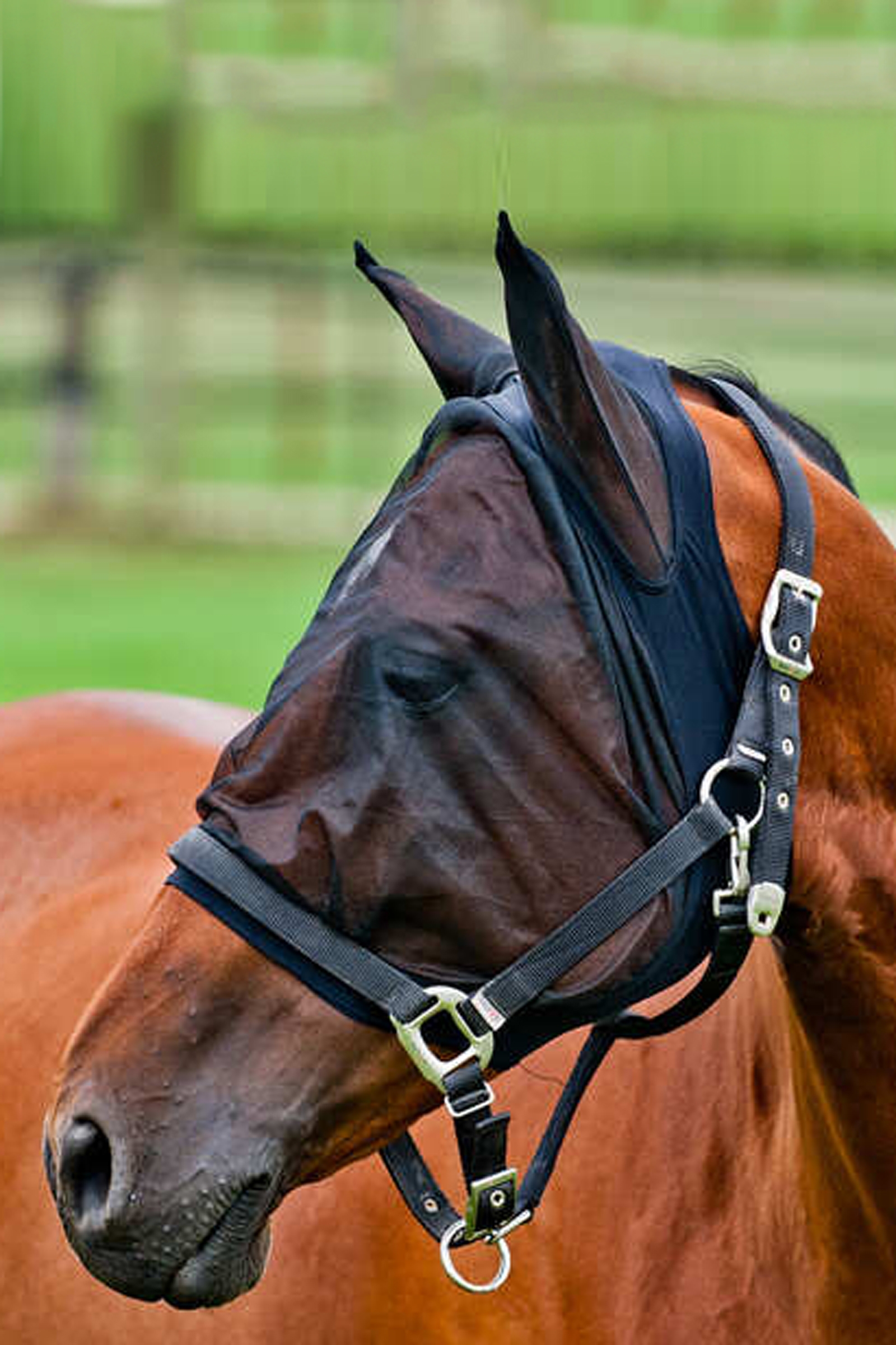 Horze k&auml;rp&auml;shuppu verkkomateriaalia ja elastaania