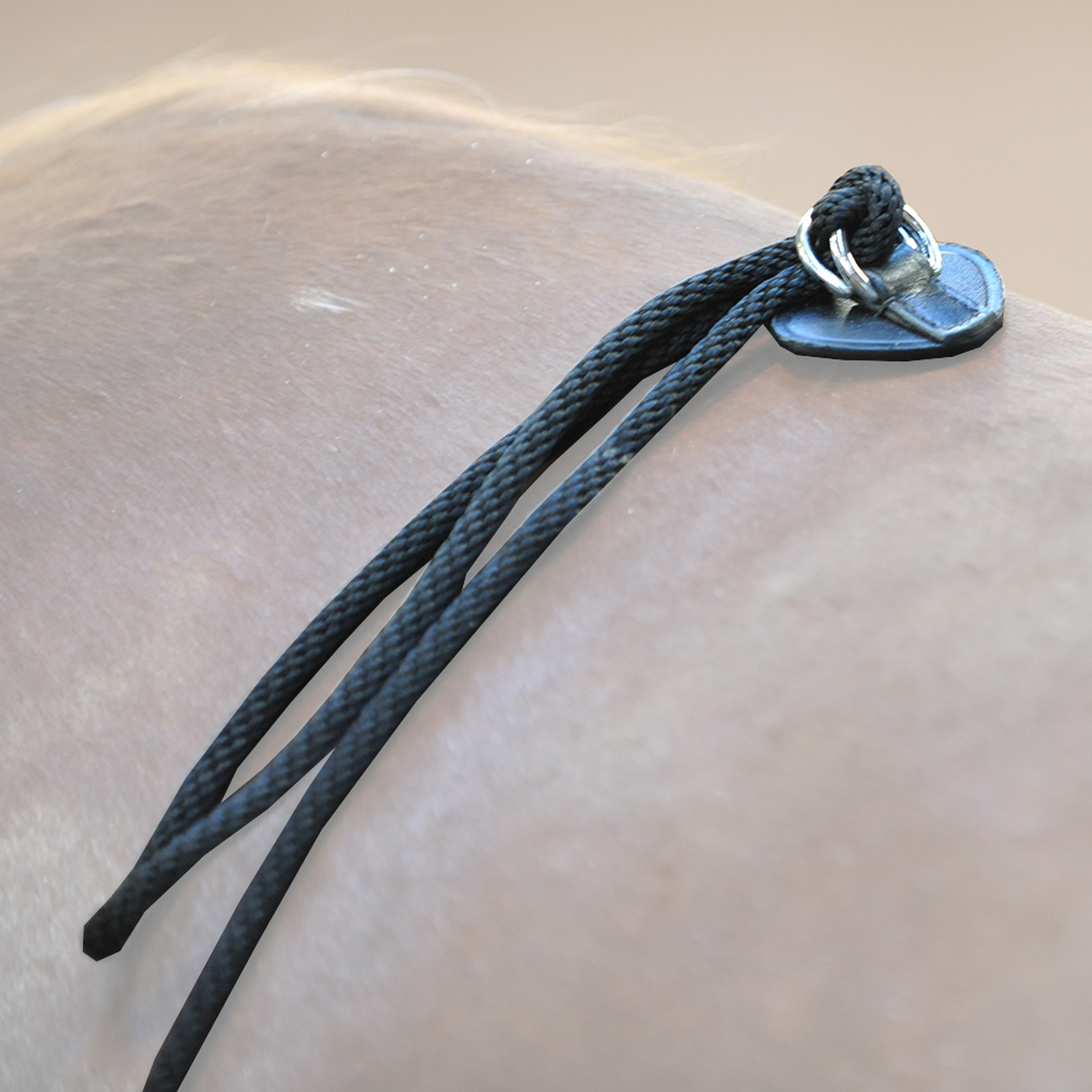 Kavalkade HO juoksutusapu