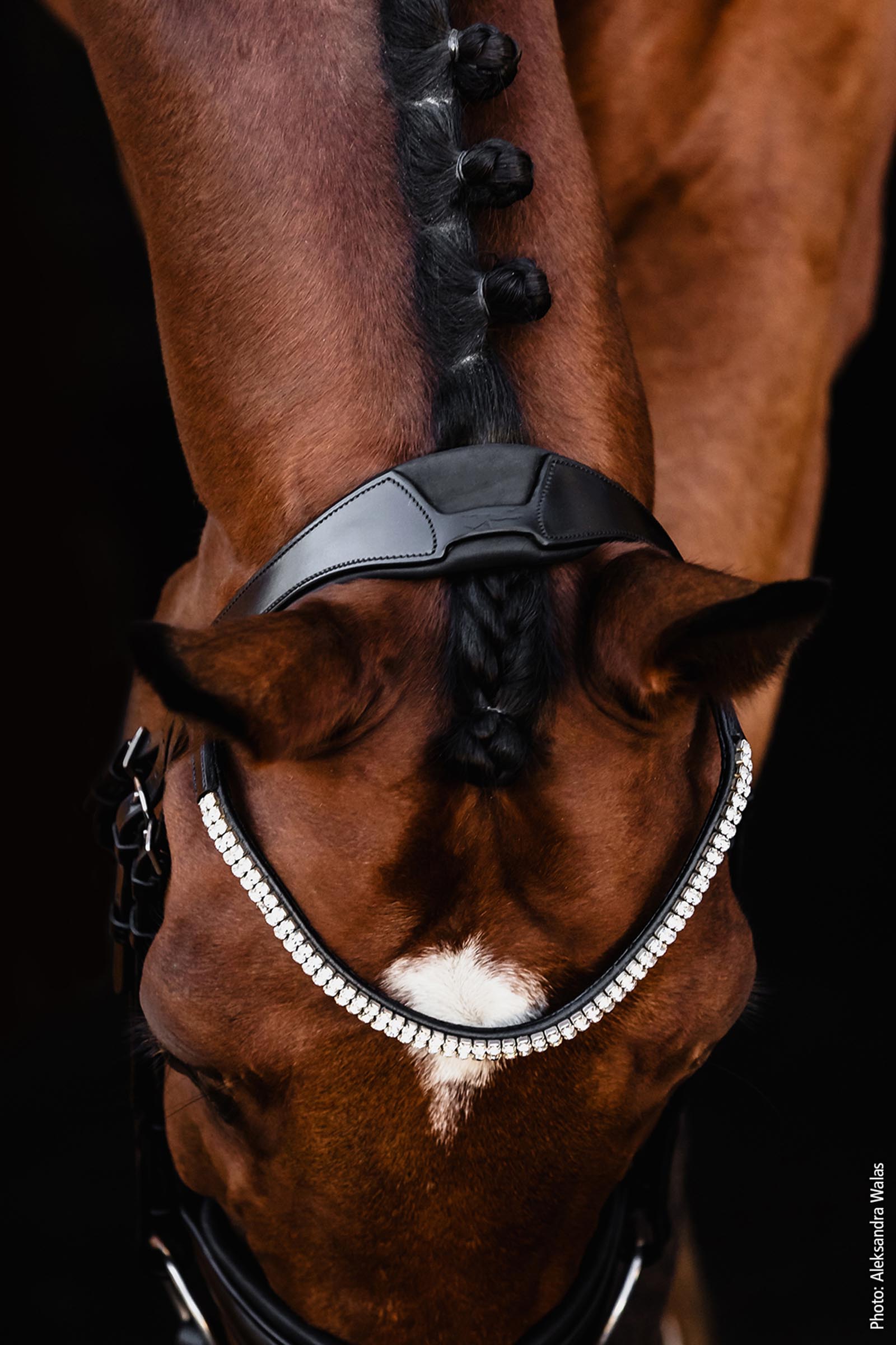Schockem&ouml;hle Sports Johnny Bridle - Isabell Werth Collection