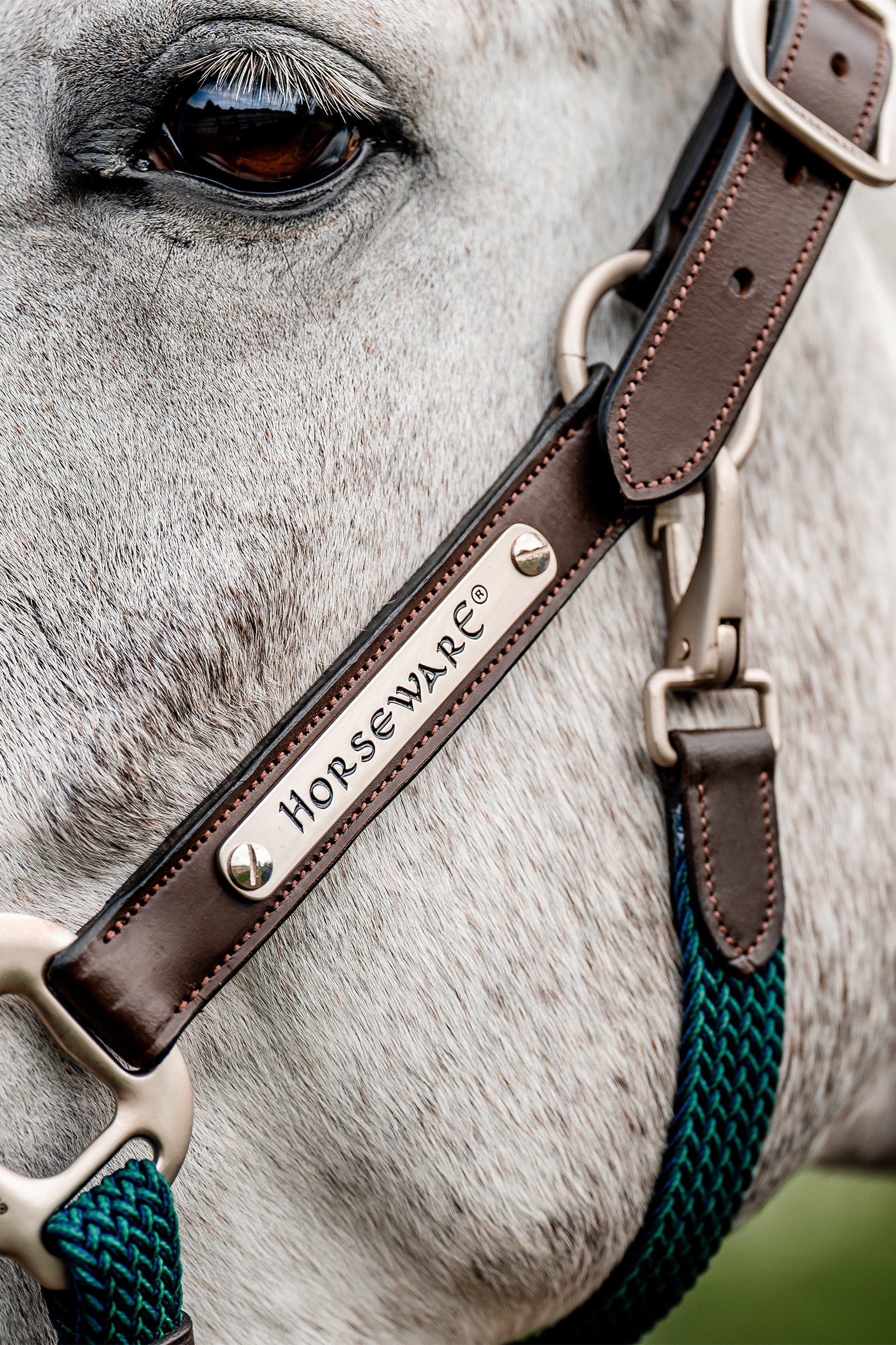 Horseware Signature Punaluinen Riimu
