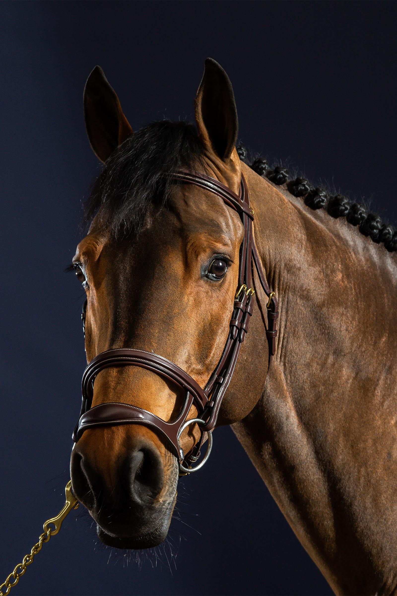 Dy'on D Collection suitsi kaksoisnenaremmeillä