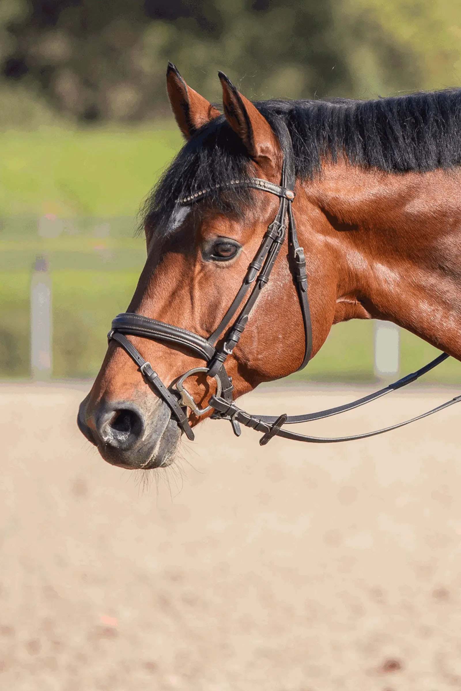 Sprenger Novocontact Oliivinivelkuolain 14mm Yksinivelinen Sensogan D-Renkailla