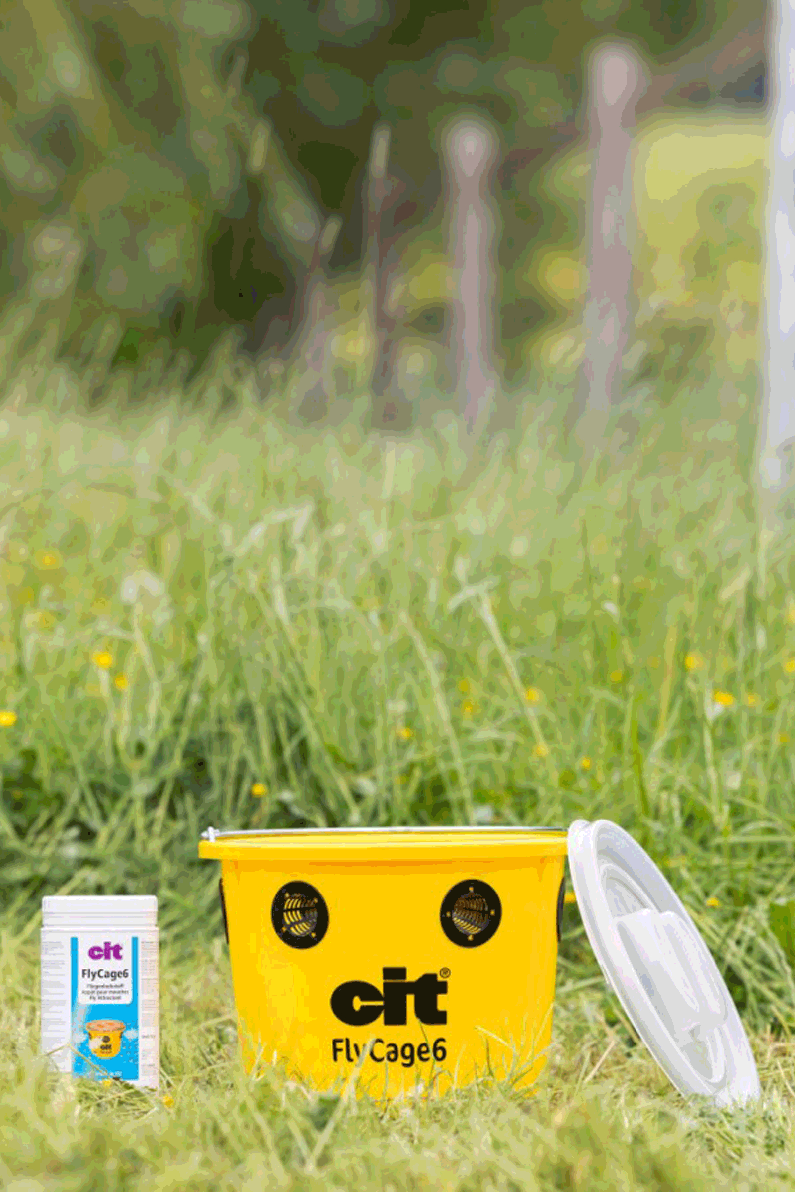 Kerbl Cit FlyCage 6 Fly Trap, Set incl. 750 g Attractant
