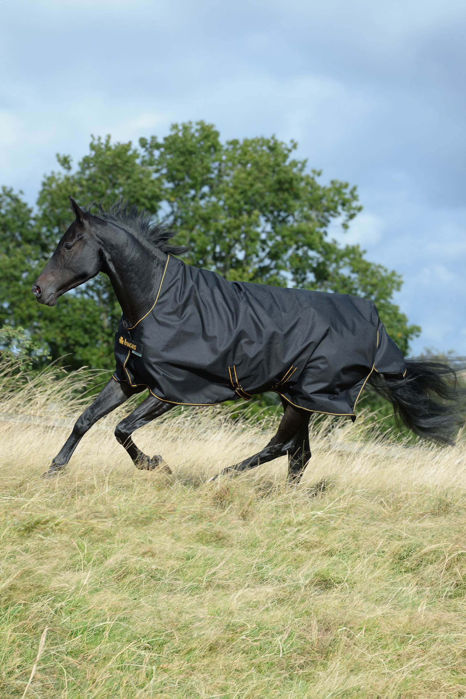 Bucas Irish ulkoloimi korkealla kaulaosalla, 50g