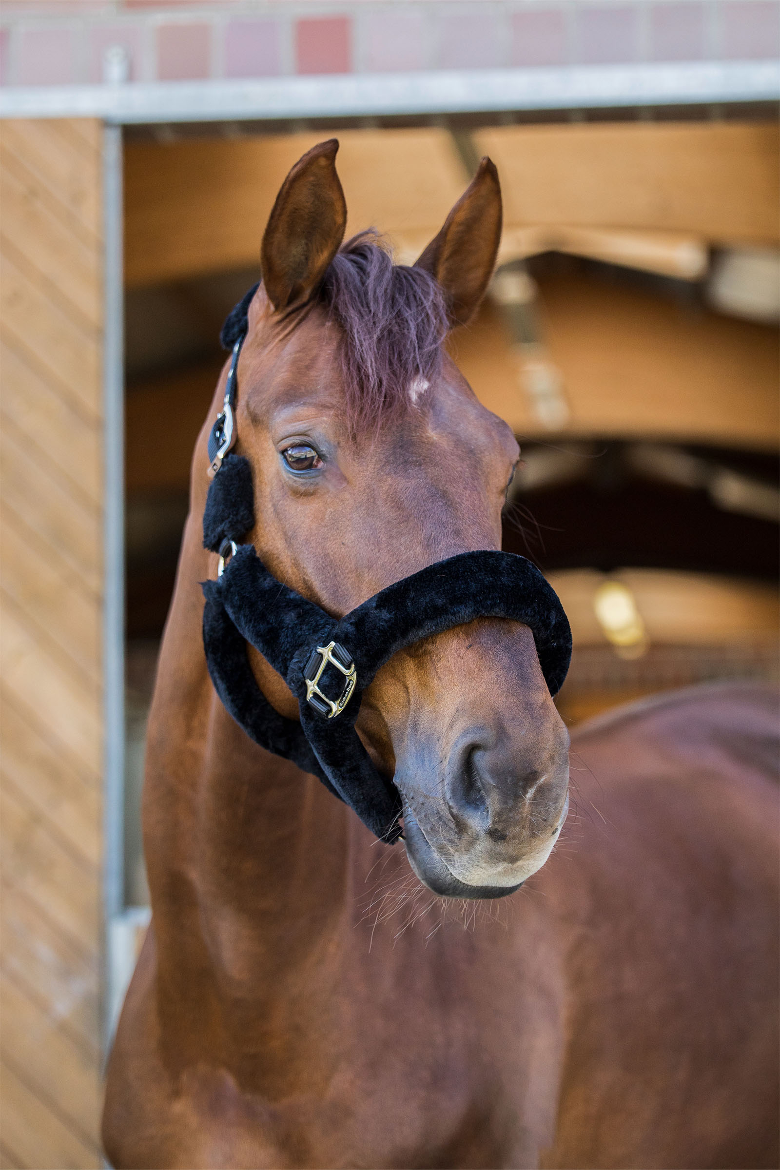 Back on Track Audrey riimu