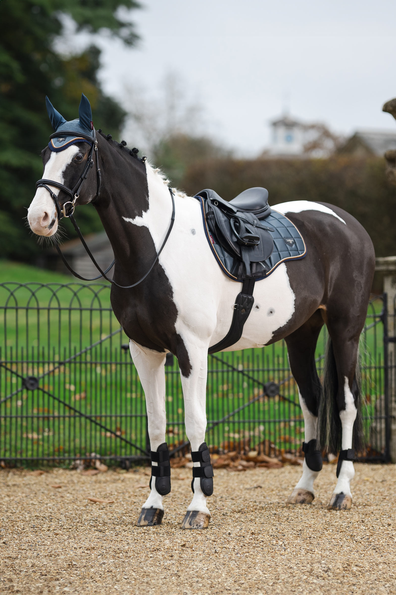 LeMieux Loire Classic Square yleissatulahuopa