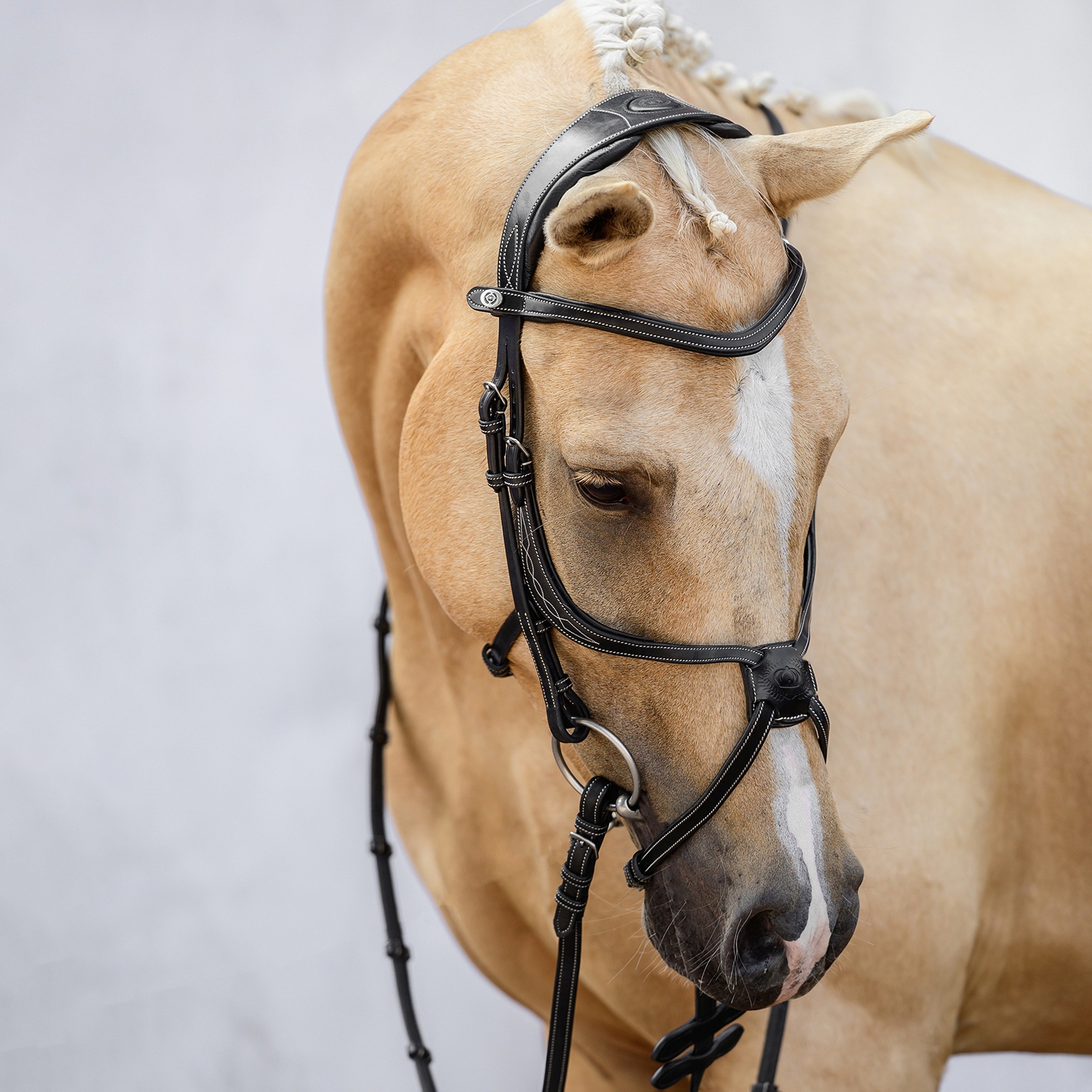 PS of Sweden Athens meksikolaiset suitset