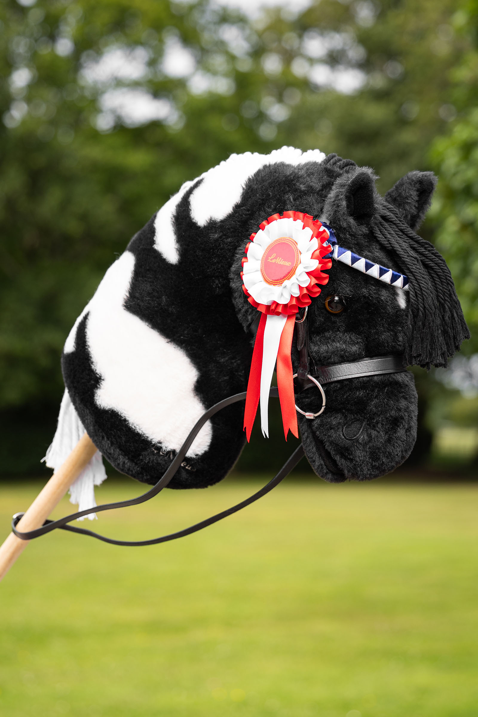 LeMieux Hobby Horse ruusukesetti