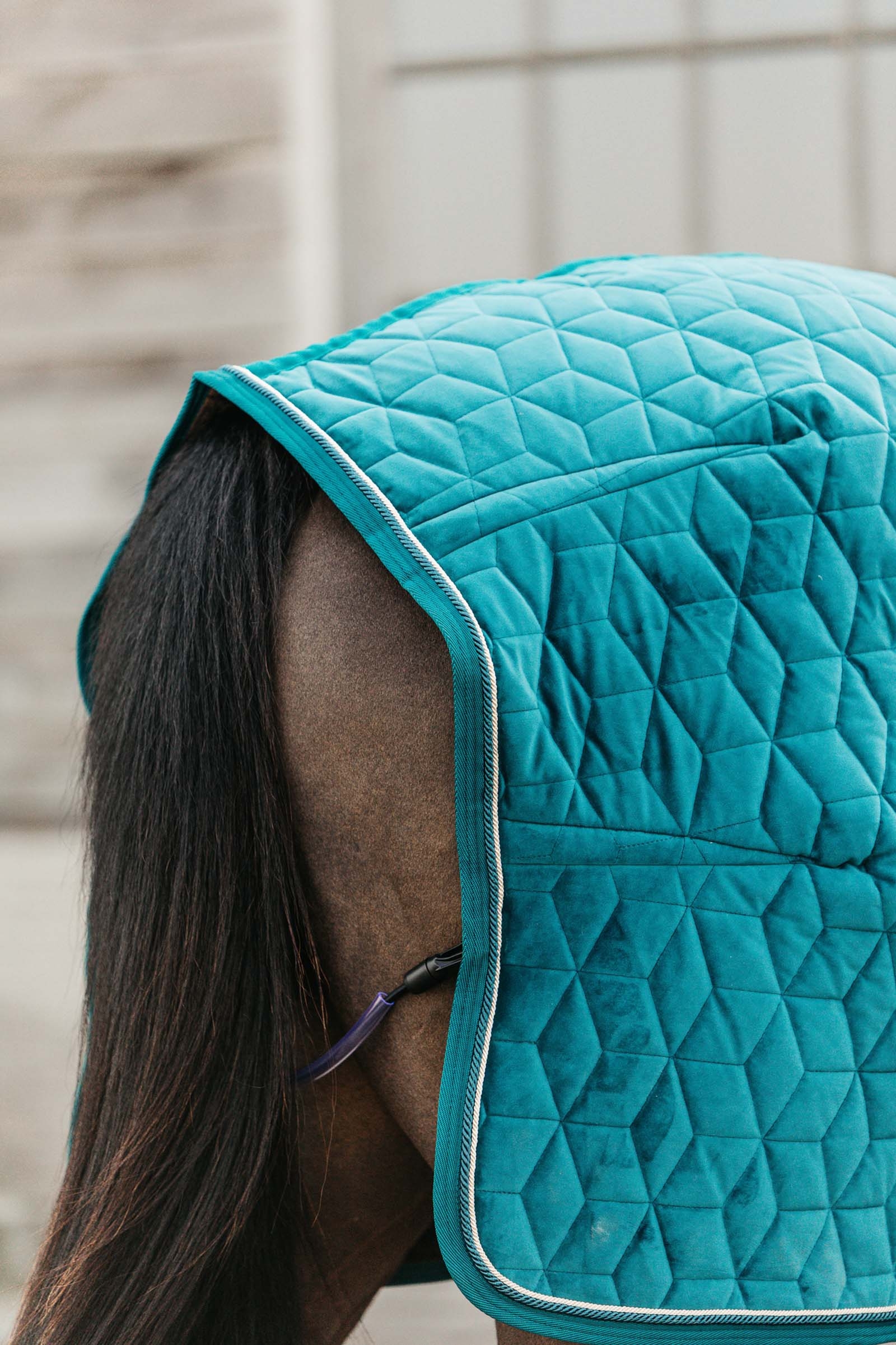 Kentucky Horsewear Velvet kilpailuloimi, 160 g