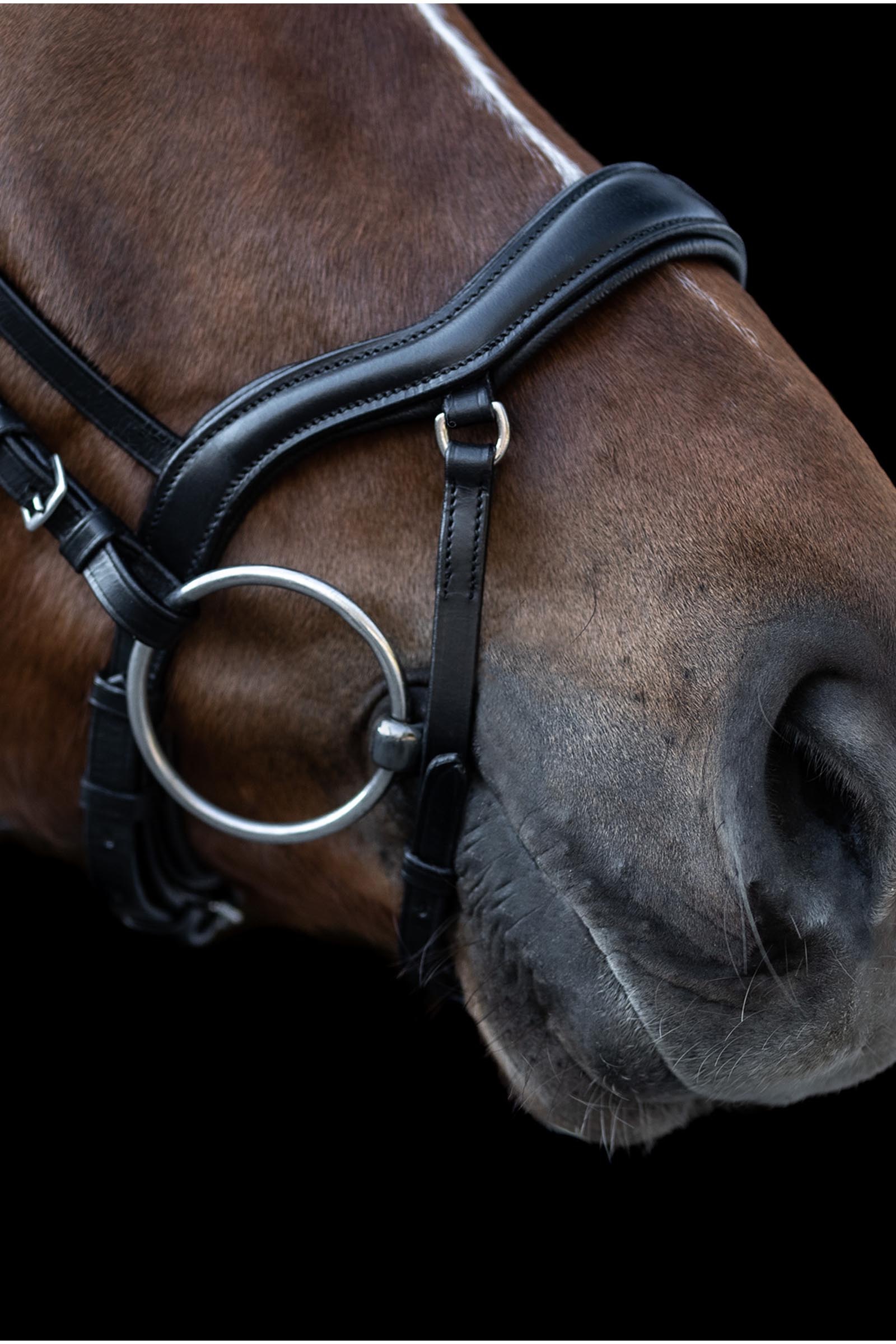 Waldhausen X-Line New Shape II Riimu