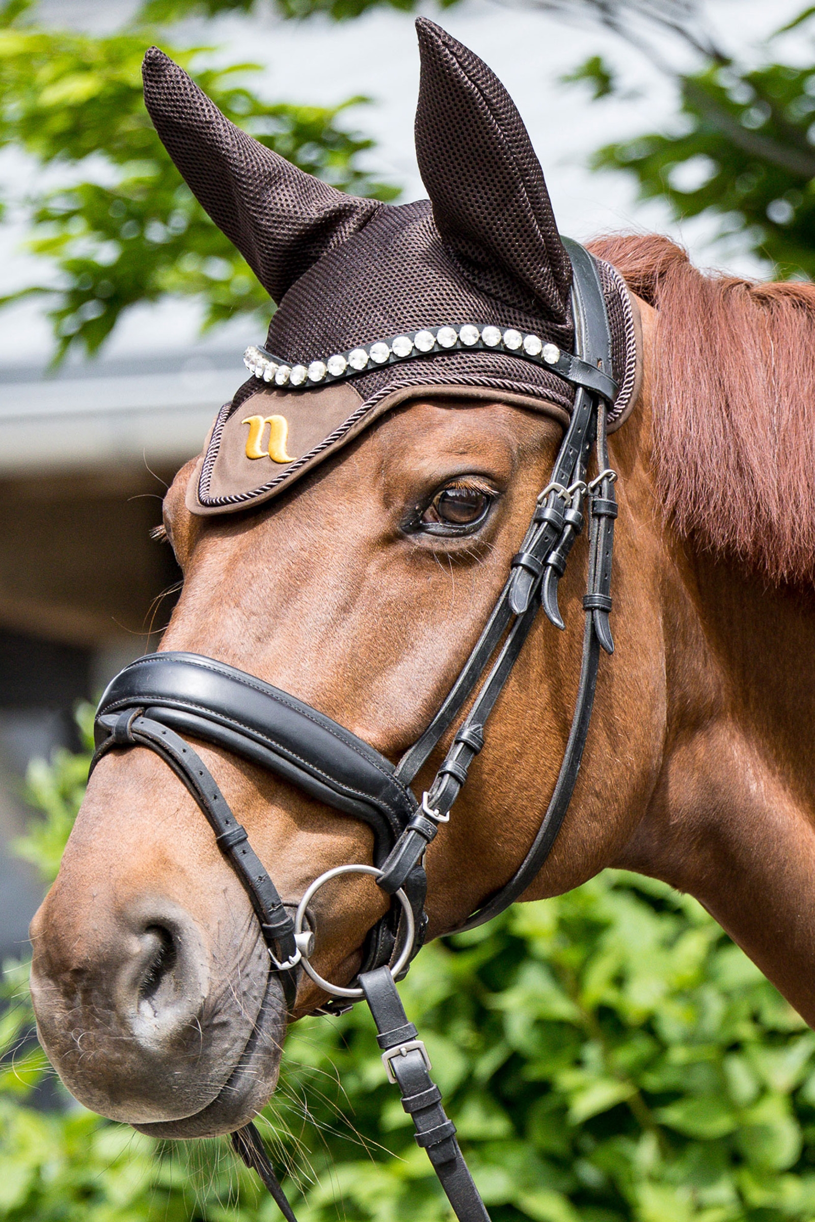 Back on Track Airflow korvahuppu