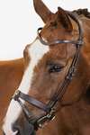 PS of Sweden Lontoon Bridle
