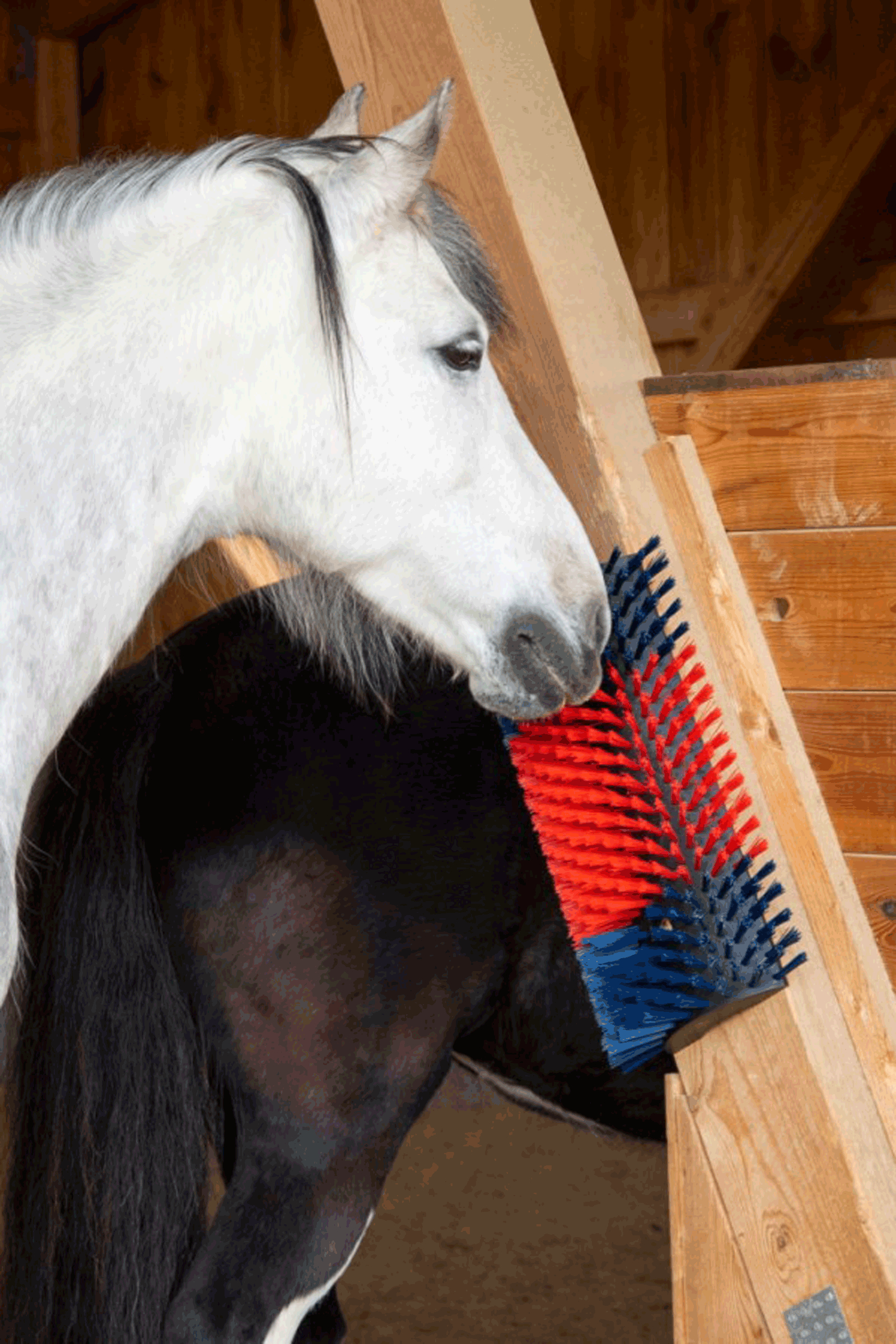 Kerbl XL raapimisharja, py&ouml;re&auml;