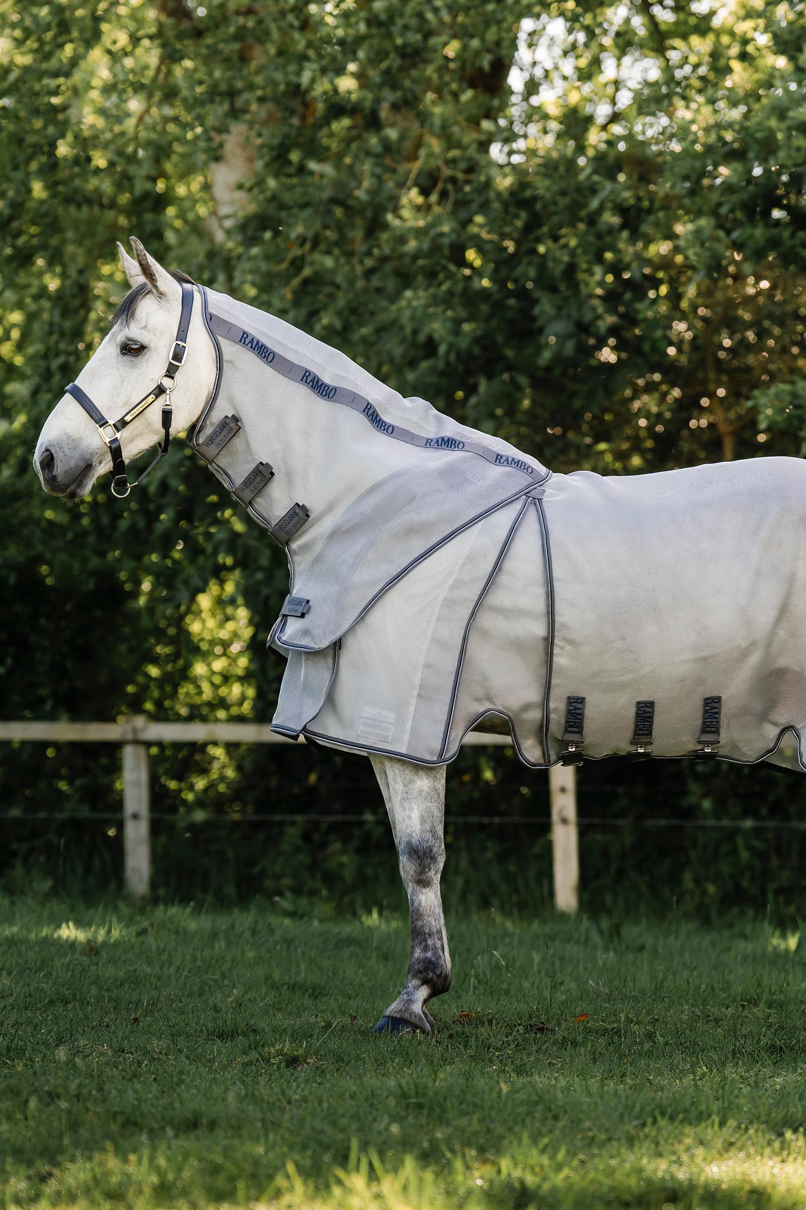 Horseware Rambo Optimo Protector Plus loimi