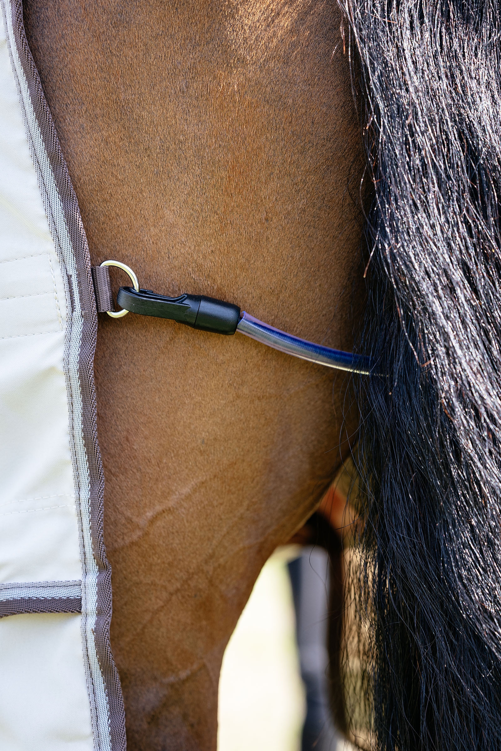 LeMieux Kudos Shower Pro ekseemaloimi irrotettavalla kaulaosalla