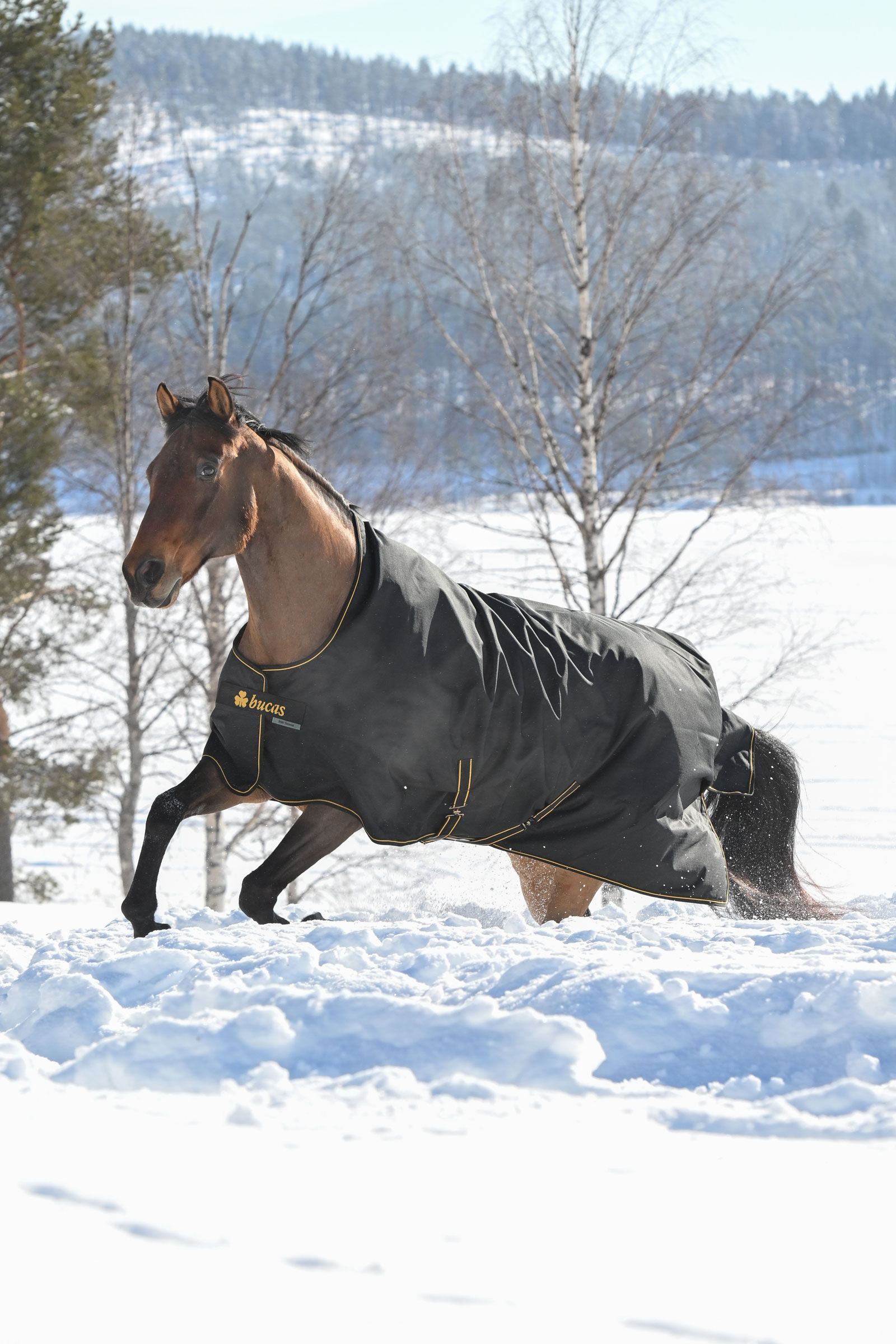 Bucas Irish ulkoloimi, 300g