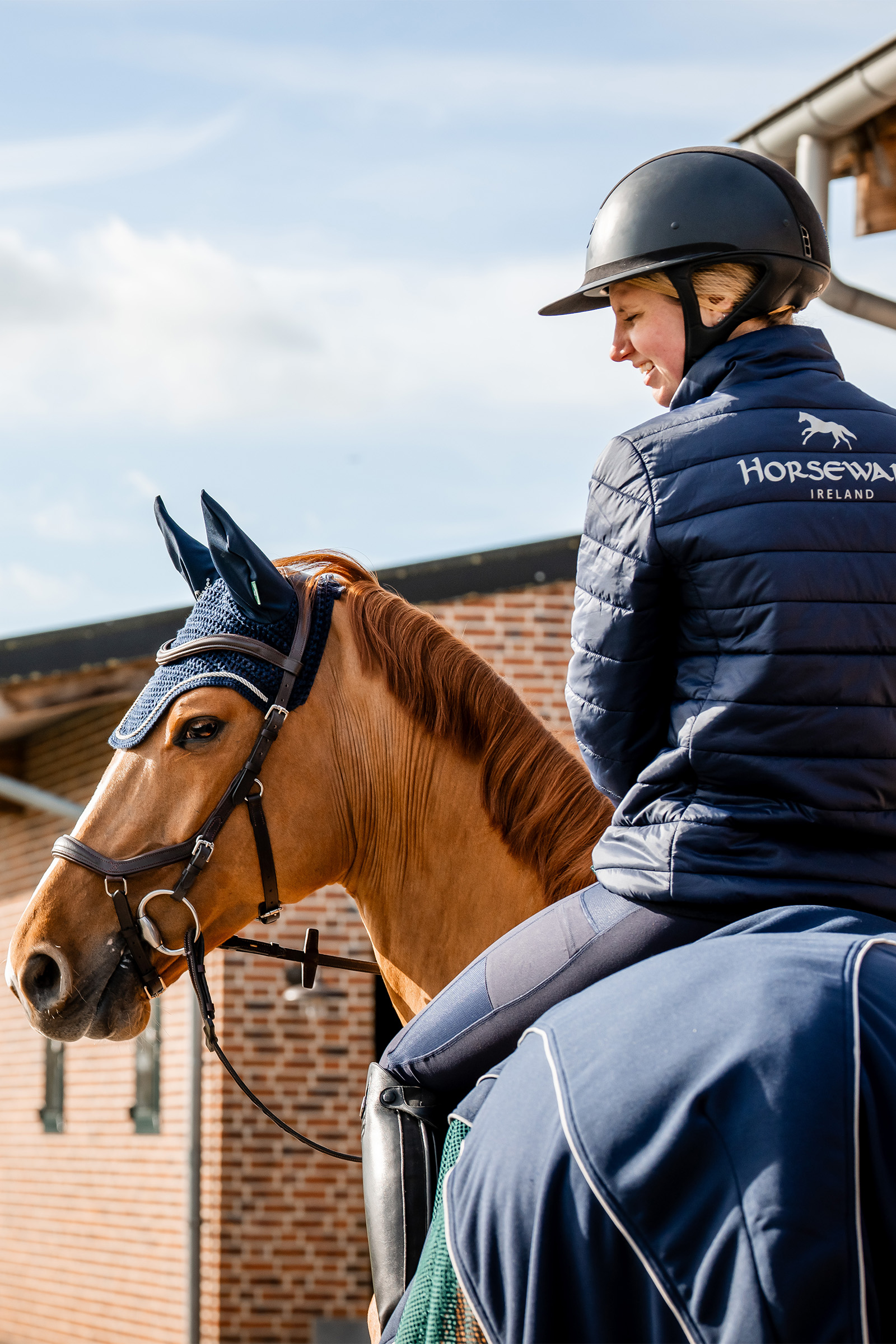 Horseware Signature hyttysverkko